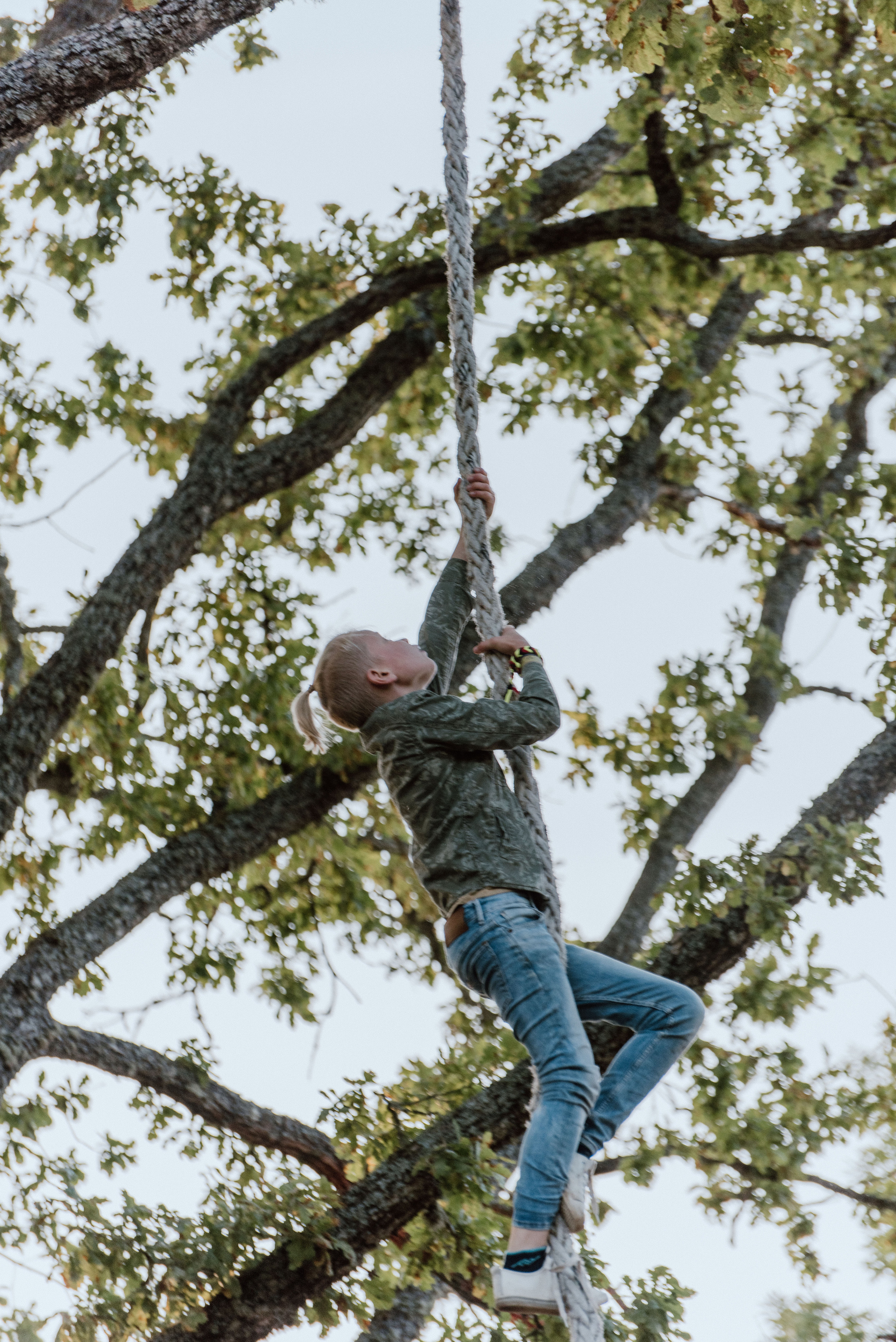 Urisaare 2021, Kantry festival. Pulmafotograaf ja videograaf Eestis, Tallinn