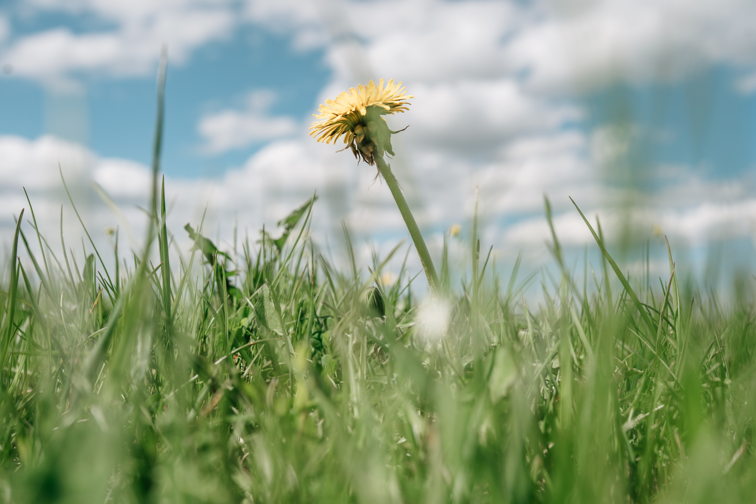 Siim&Elina. Wedding and Family Photographer