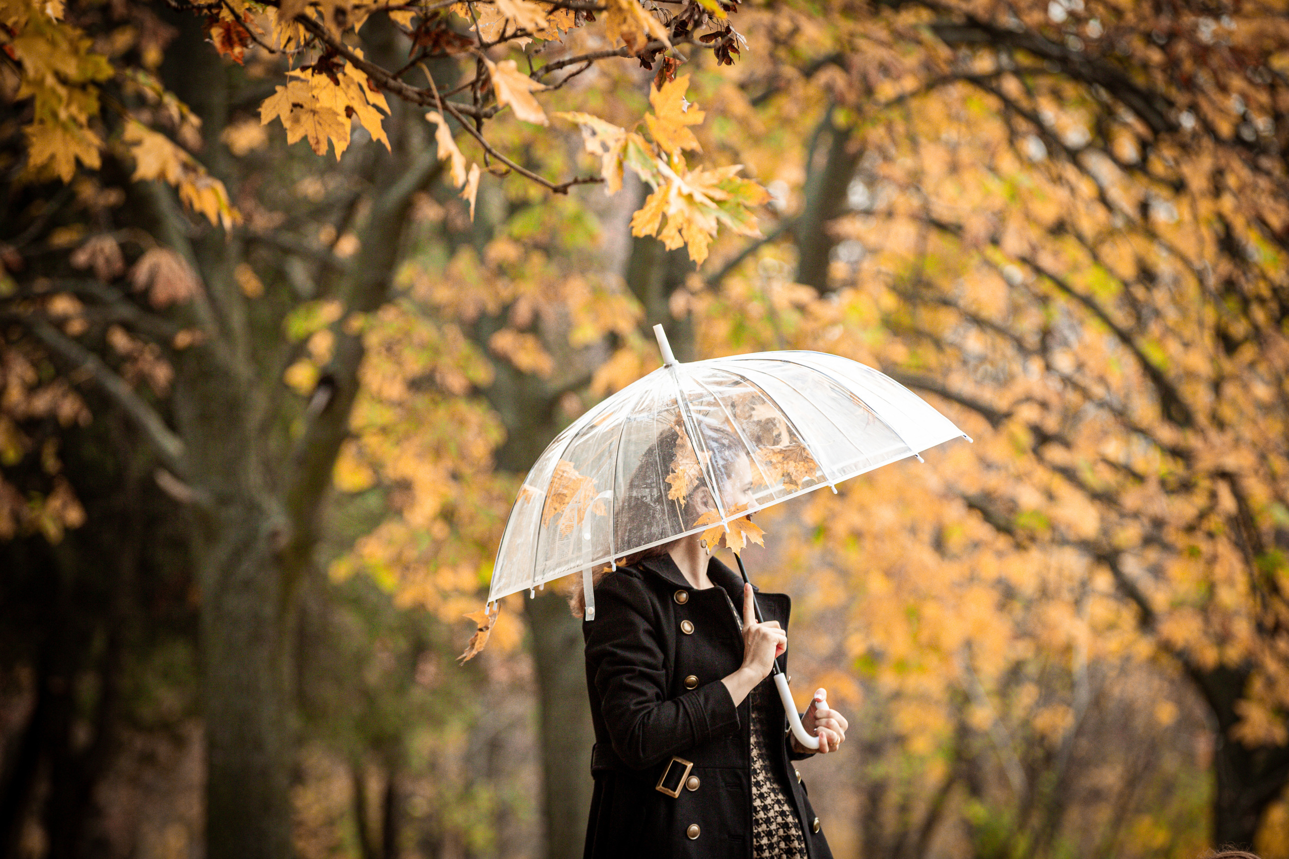 Ludmila. Свадебная и семейная фото- и видеосъемка в Таллине и Одессе