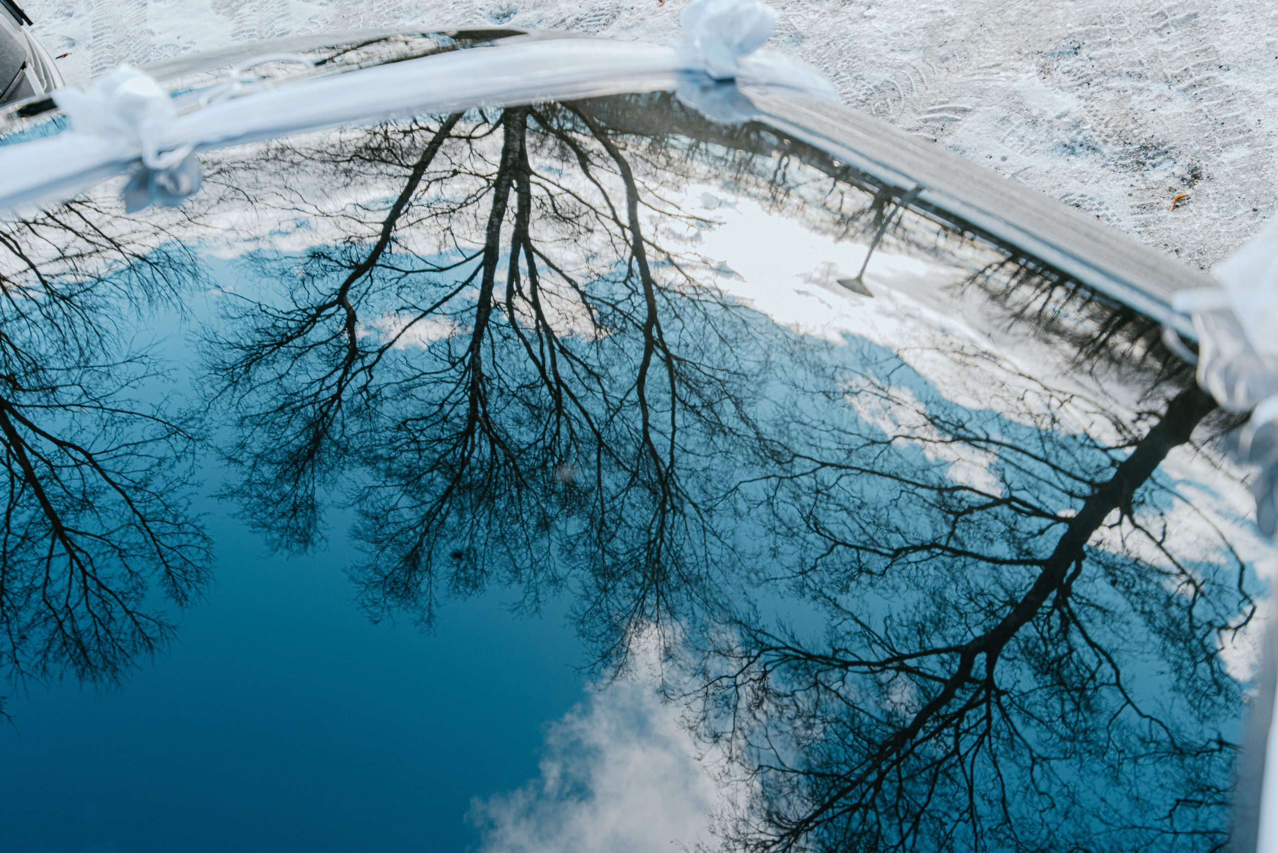 Rene&Olga. Pulmafotograaf ja videograaf Eestis, Tallinn