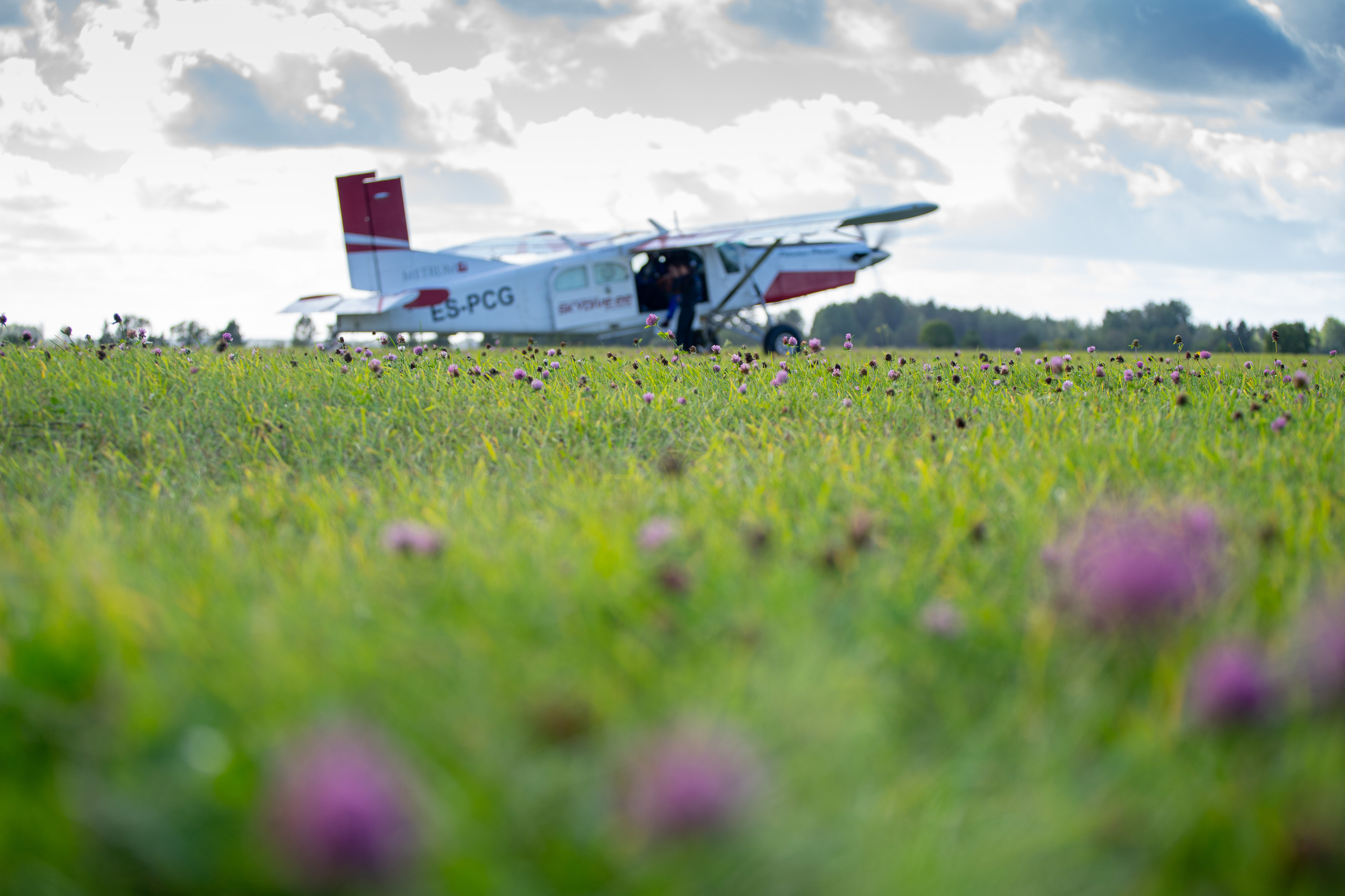 SkyDiving. Свадебная и семейная фото- и видеосъемка в Таллине и Одессе