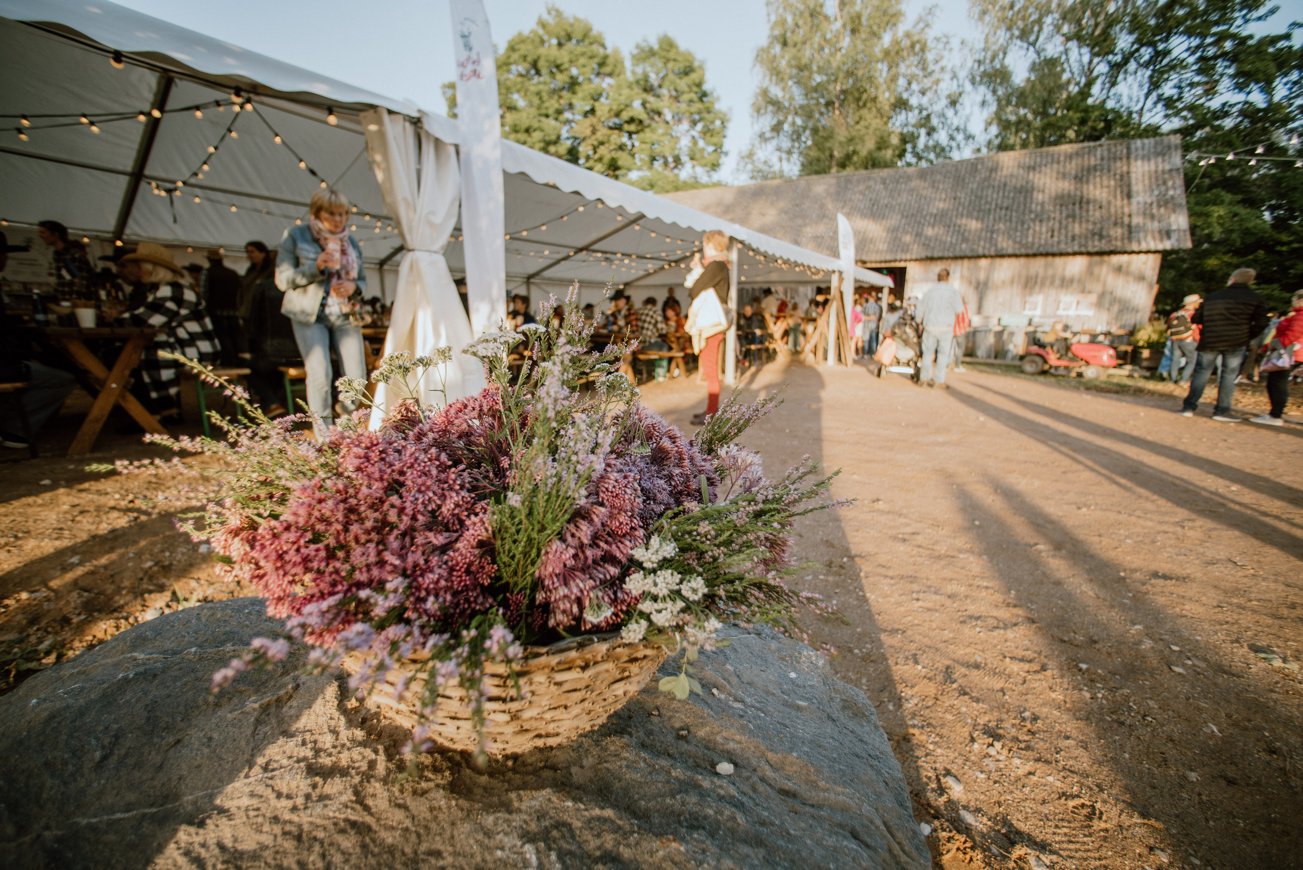 Urisaare 2021, Kantry festival. Pulmafotograaf ja videograaf Eestis, Tallinn