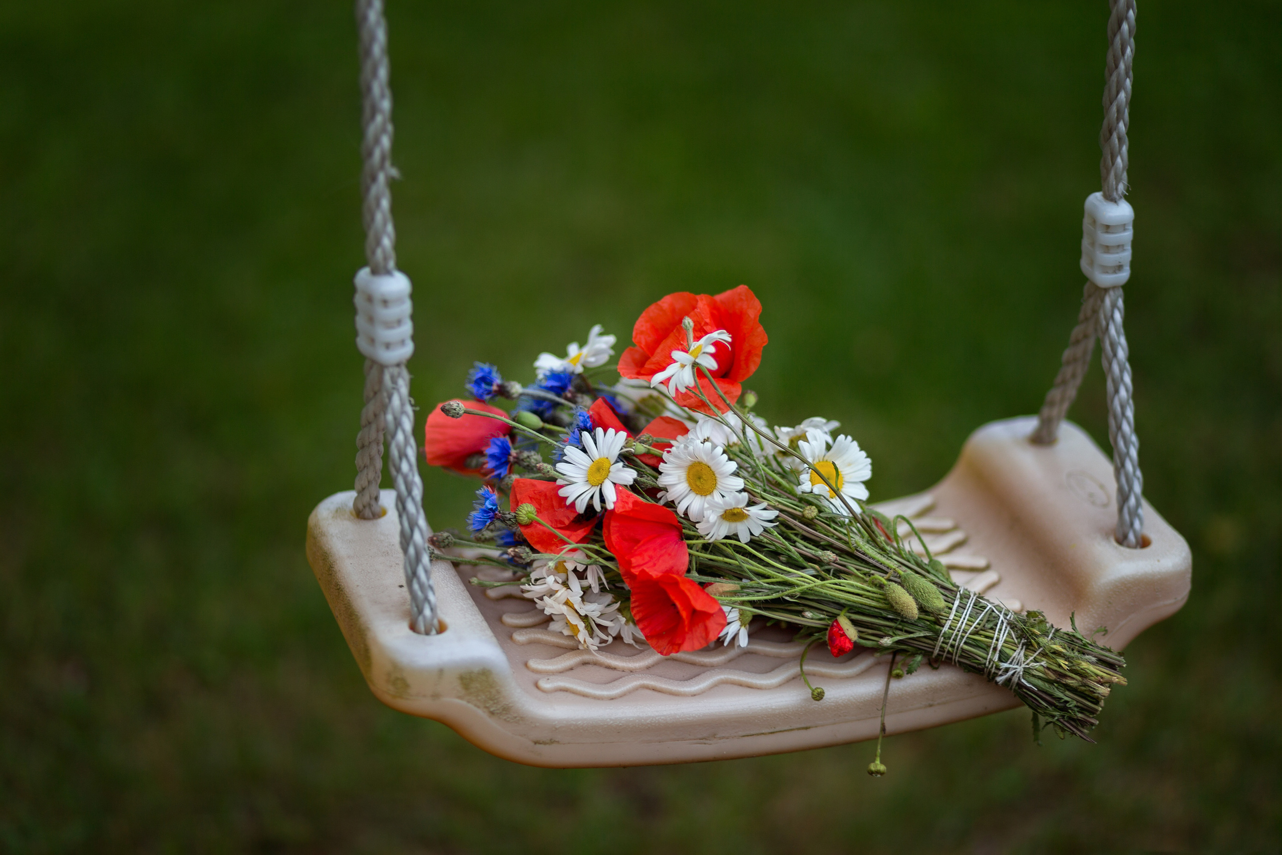 Aire&Vello. 50 years together. Wedding and Family Photographer