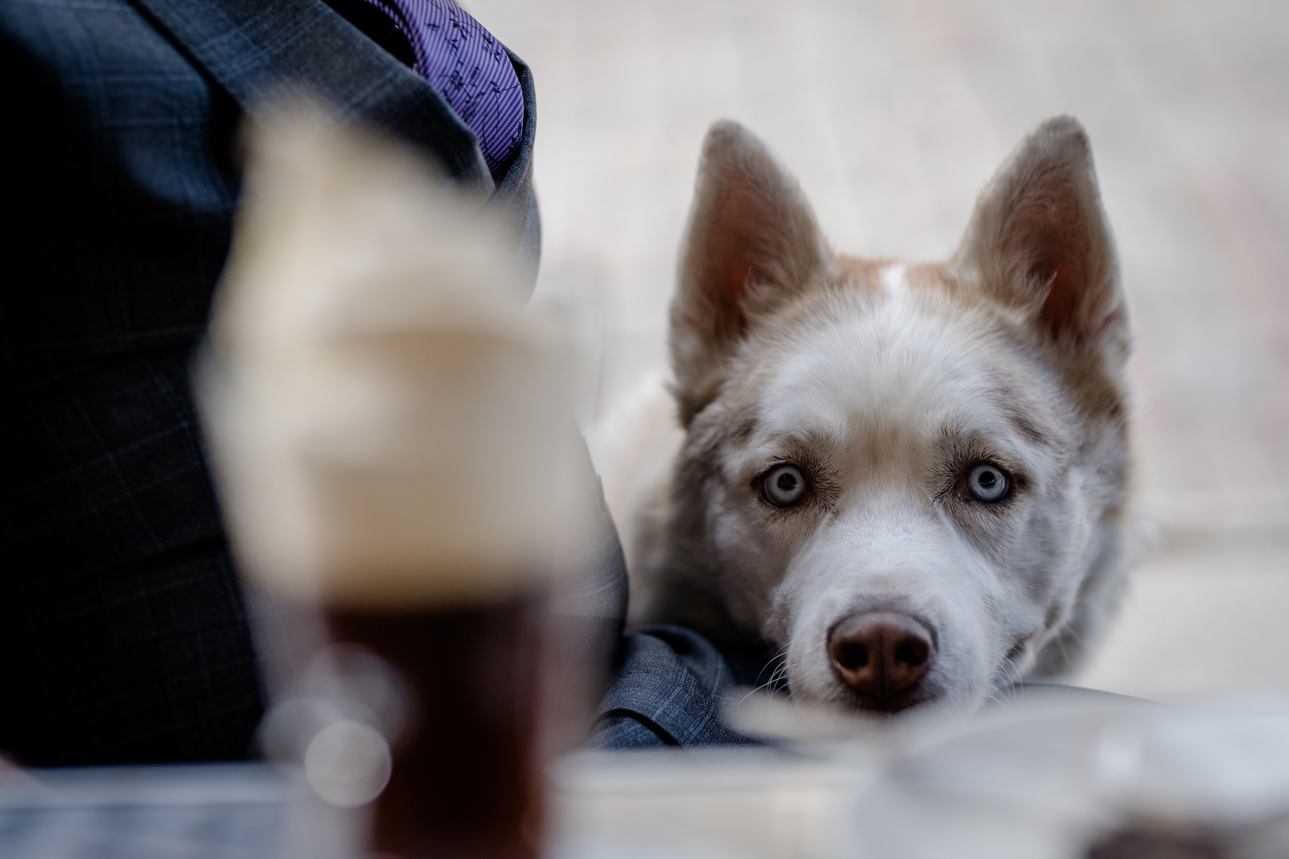 Gary & Christine. Свадебная и семейная фото- и видеосъемка в Таллине и Одессе