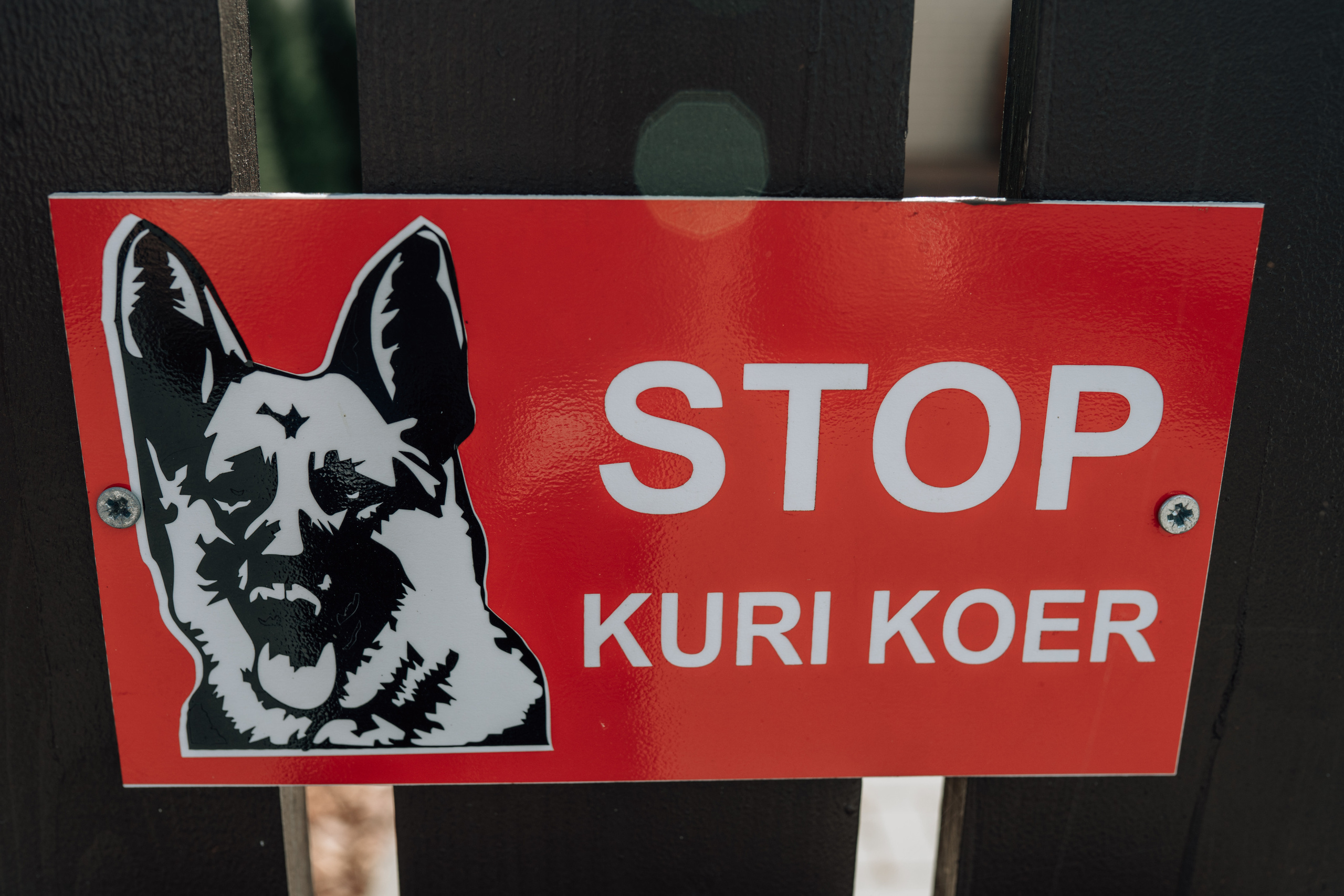 Siim&Elina. Wedding and Family Photographer