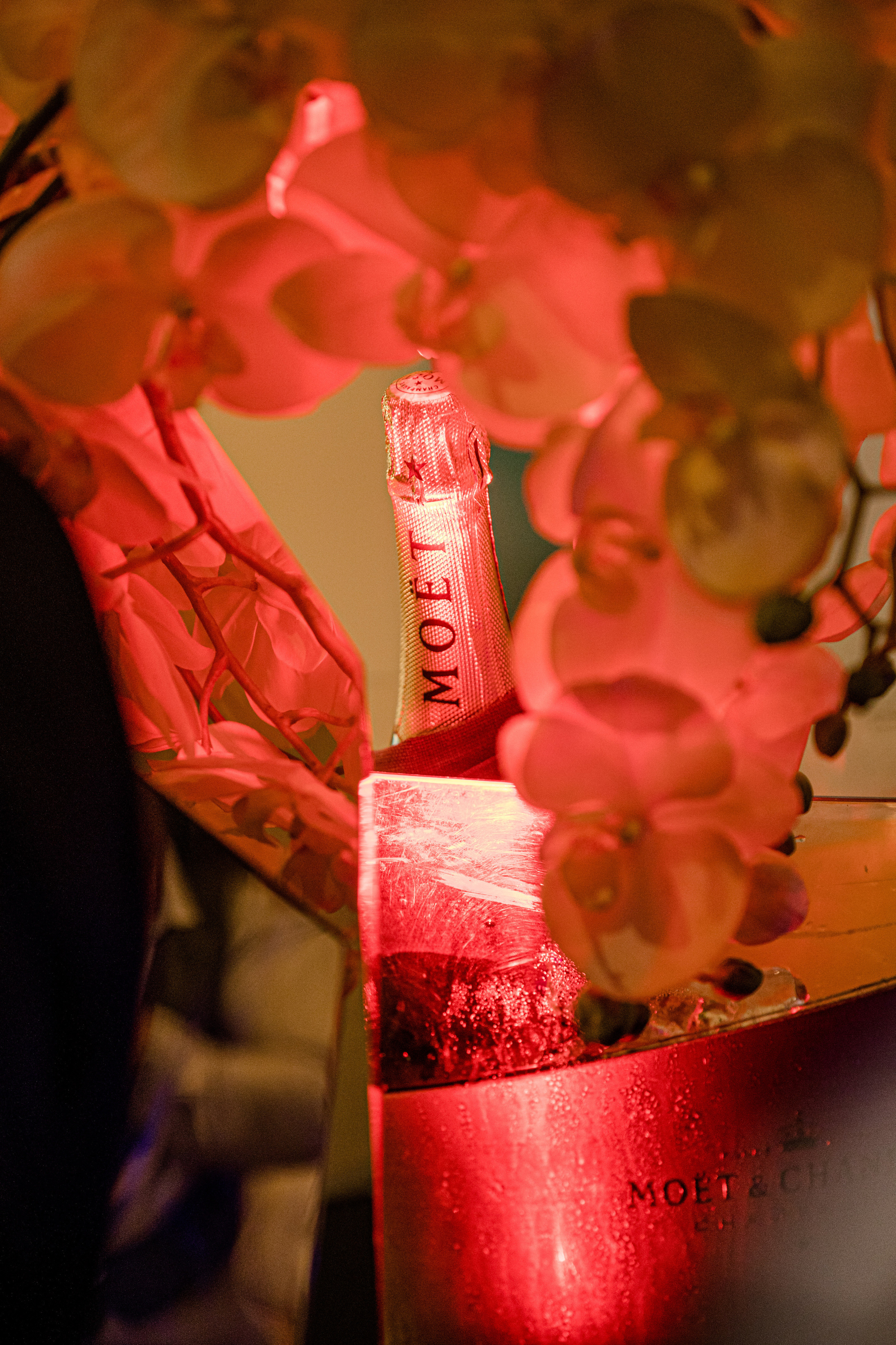 Miss World Estonia 2022. Wedding and Family Photographer