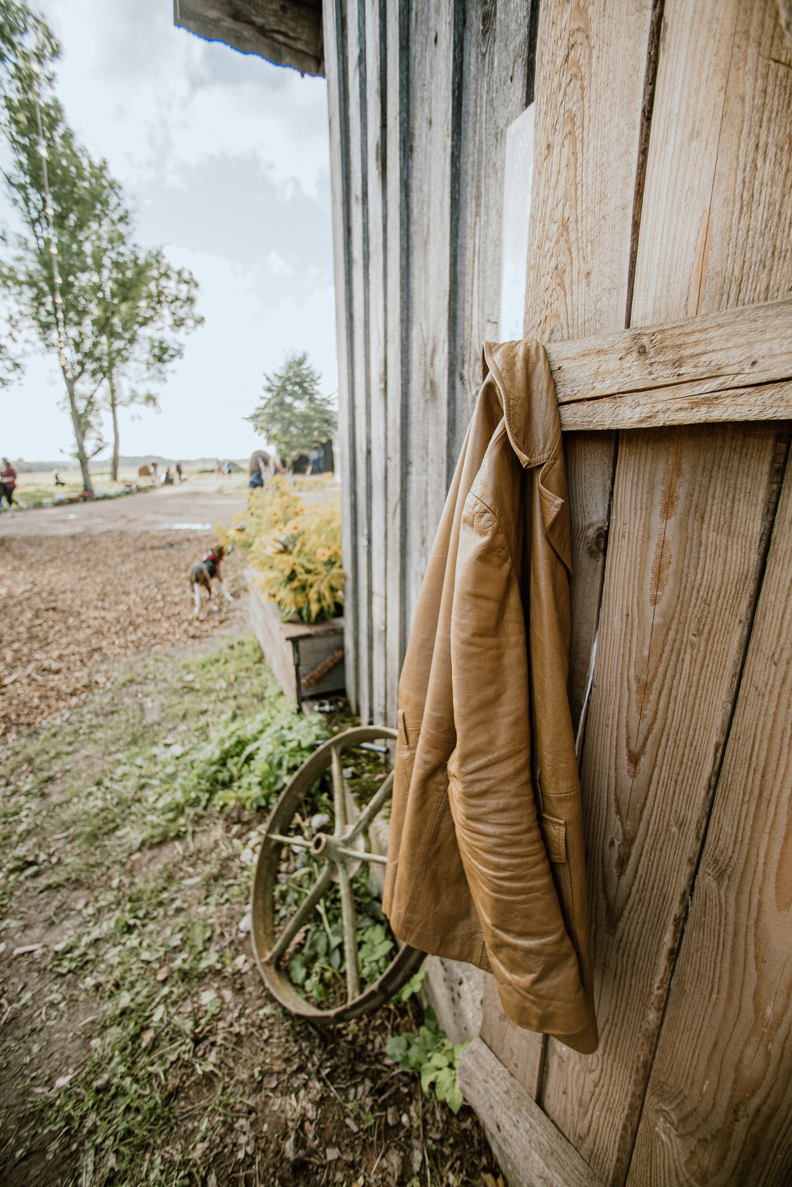 Urisaare 2021, Kantry festival. Pulmafotograaf ja videograaf Eestis, Tallinn