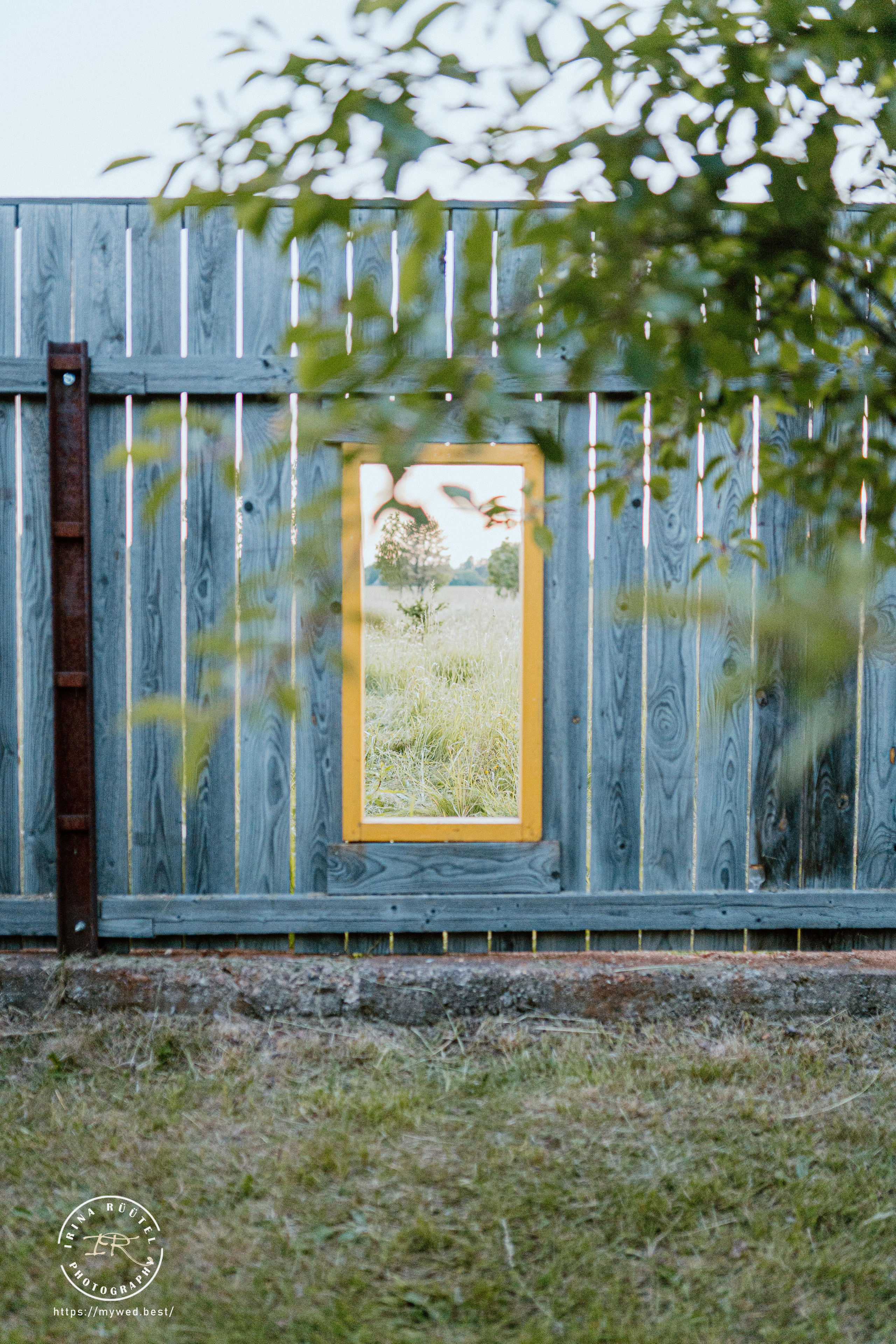 Salooga. Saaremaa. Wedding and Family Photographer