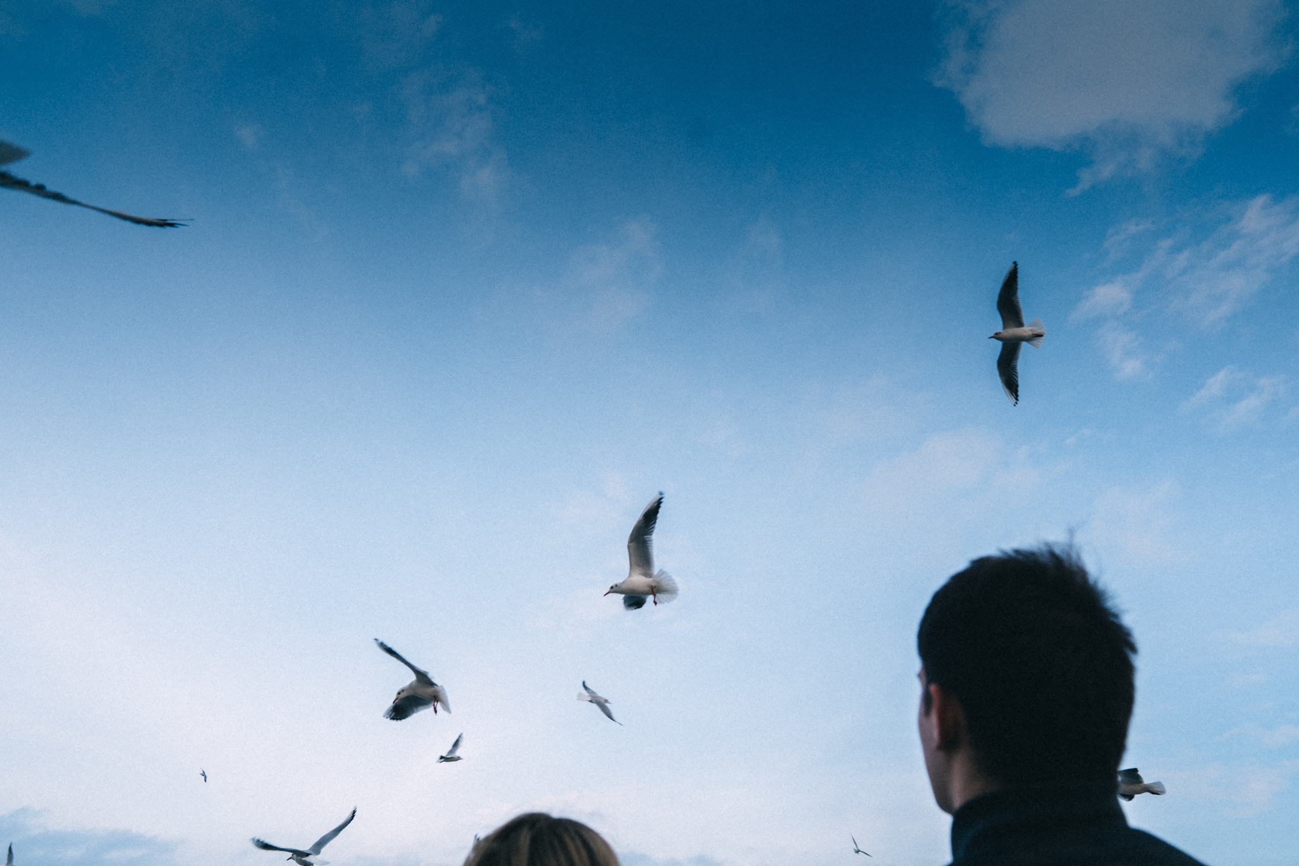 Vitaliy&Evelina. Pulmafotograaf ja videograaf Eestis, Tallinn