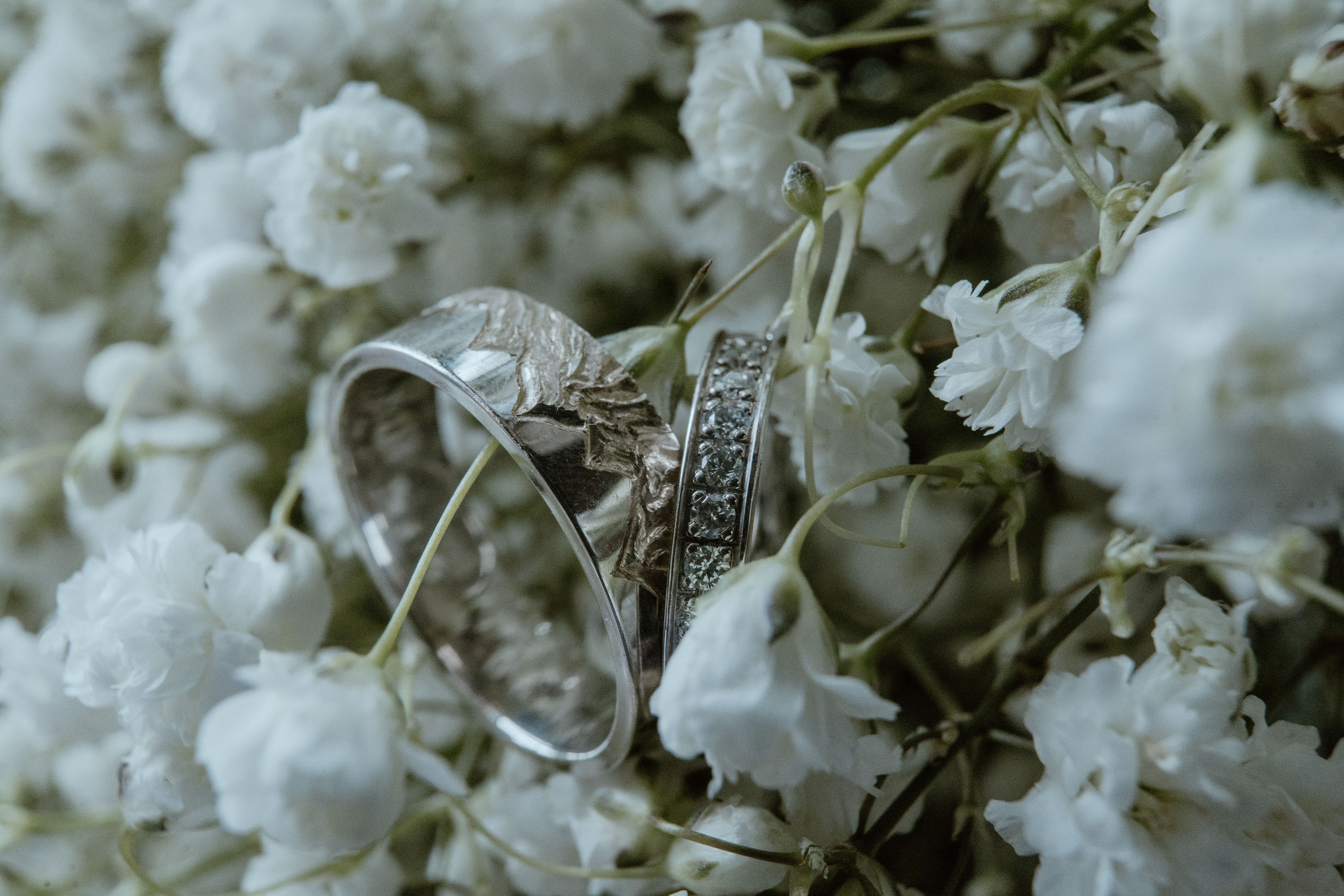 Ksenia&Eduard. Wedding and Family Photographer