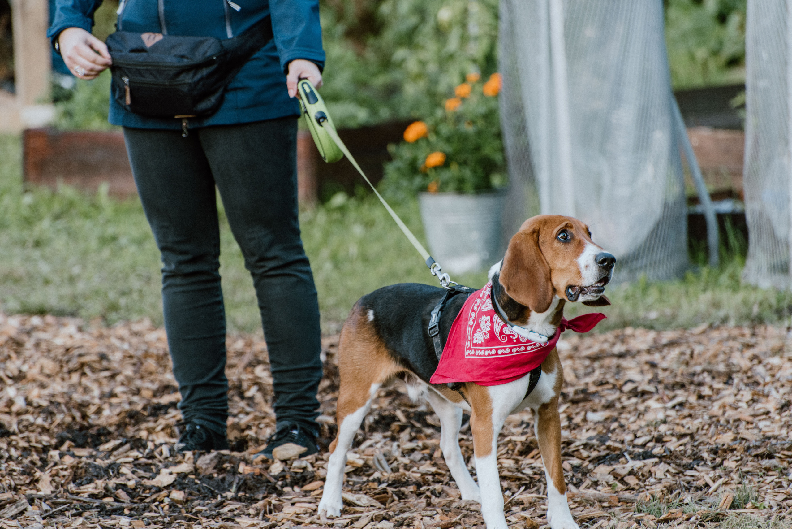 Urisaare 2021, Kantry festival. Pulmafotograaf ja videograaf Eestis, Tallinn