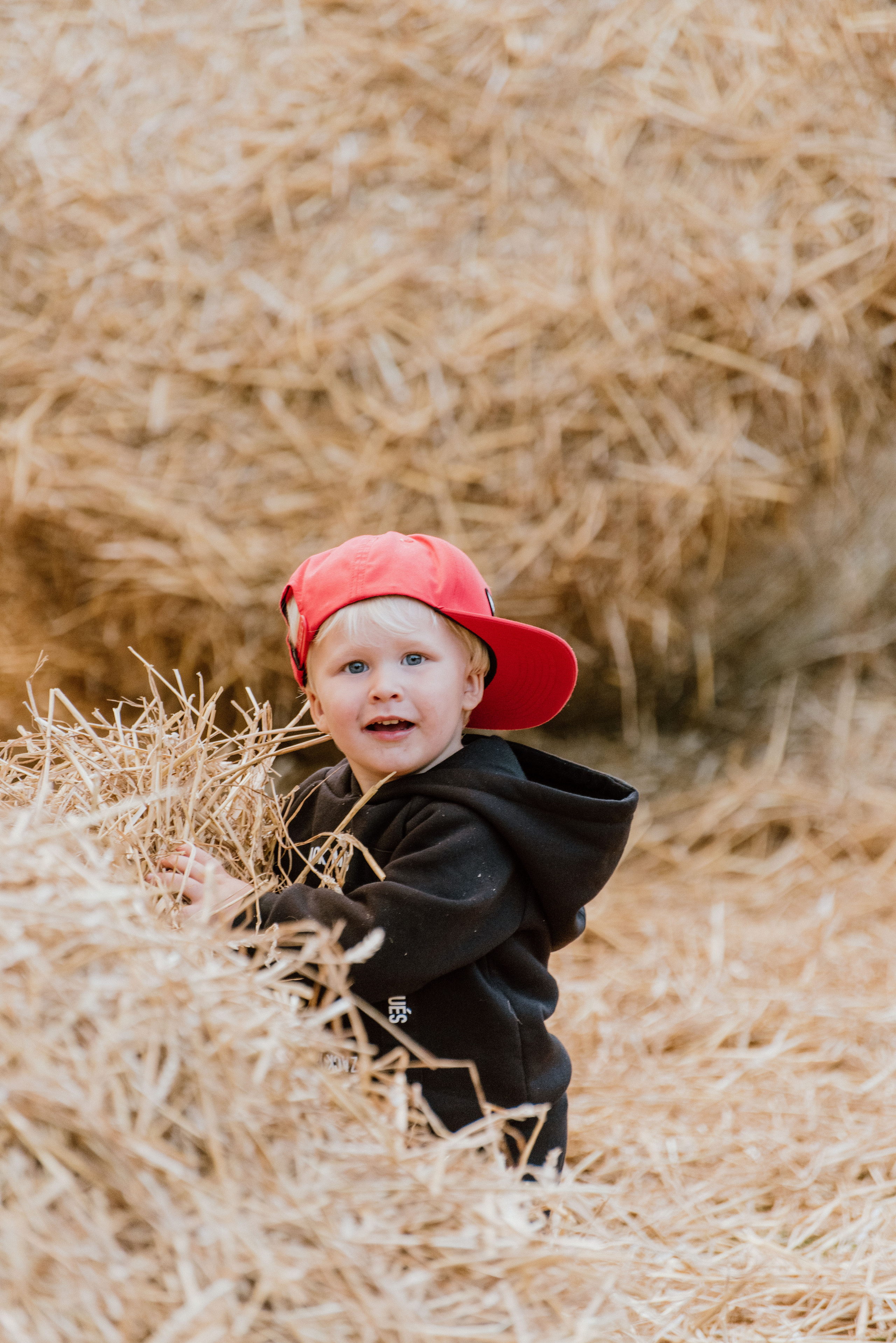 Urisaare 2021, Kantry festival. Pulmafotograaf ja videograaf Eestis, Tallinn