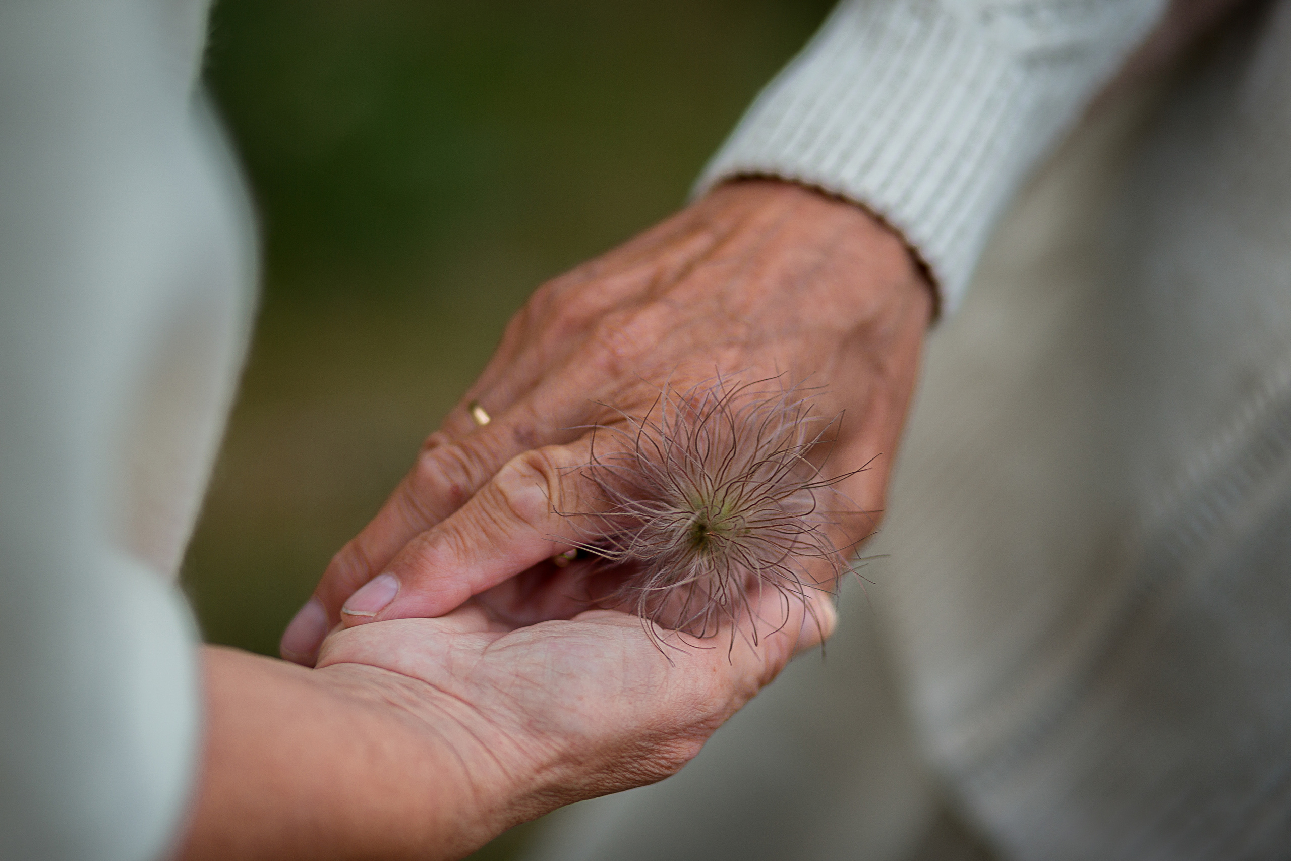 Aire&Vello. 50 years together. Wedding and Family Photographer