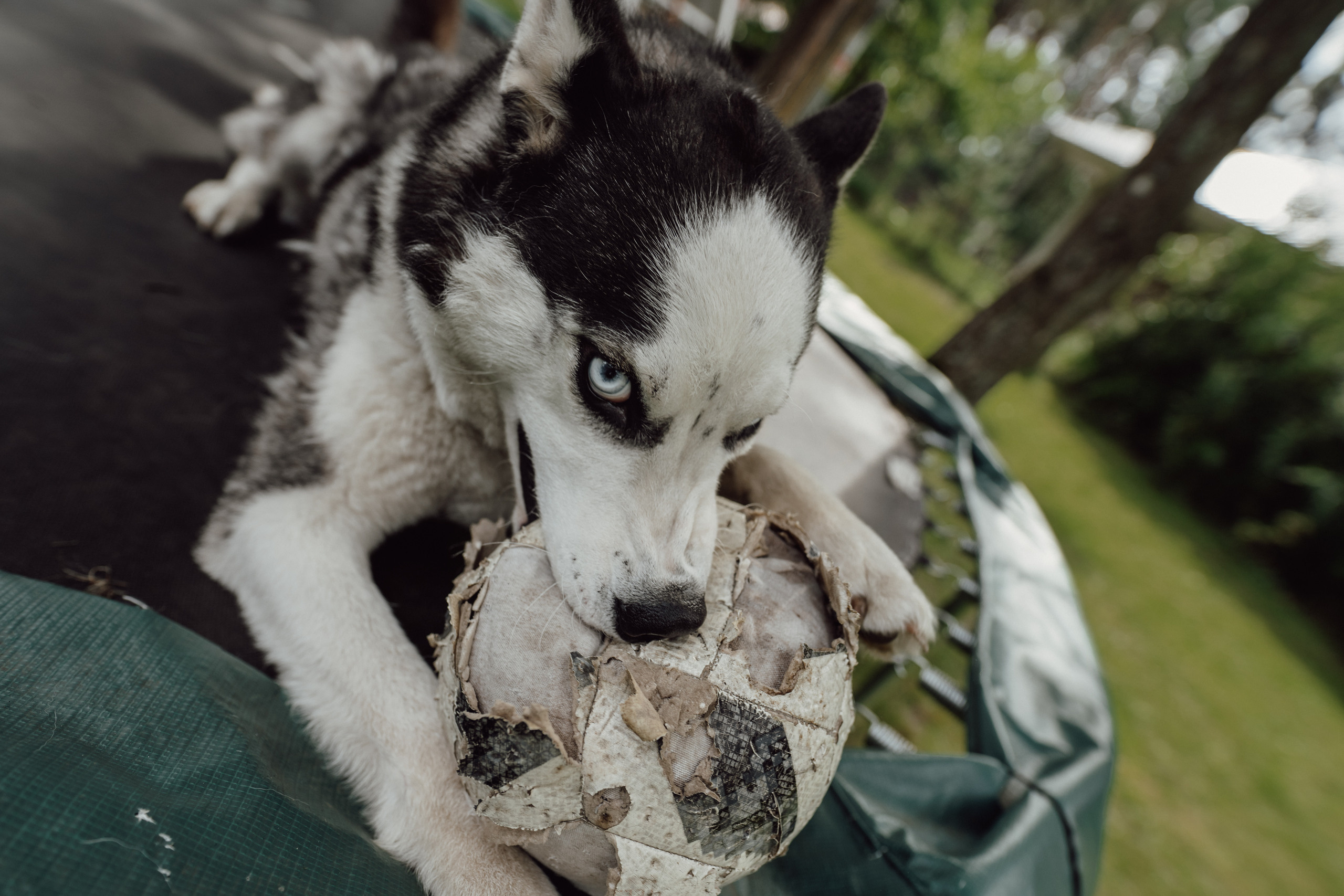 Karina&Max. Pulmafotograaf ja videograaf Eestis, Tallinn