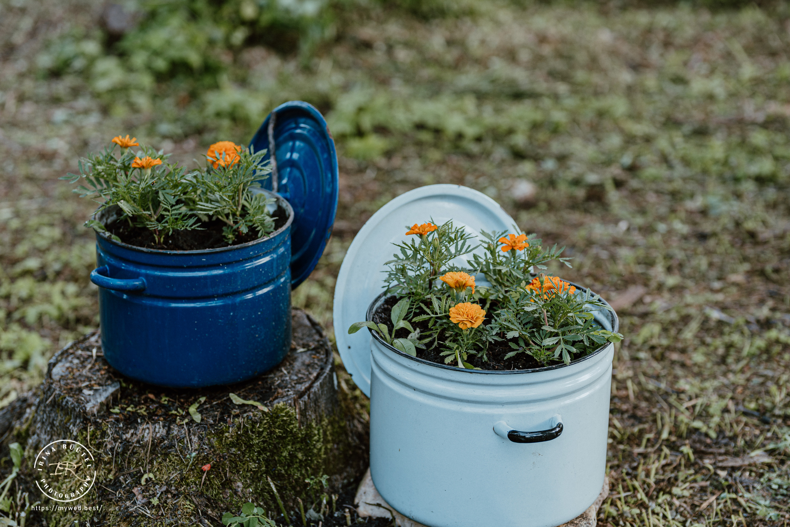 Salooga. Saaremaa. Wedding and Family Photographer