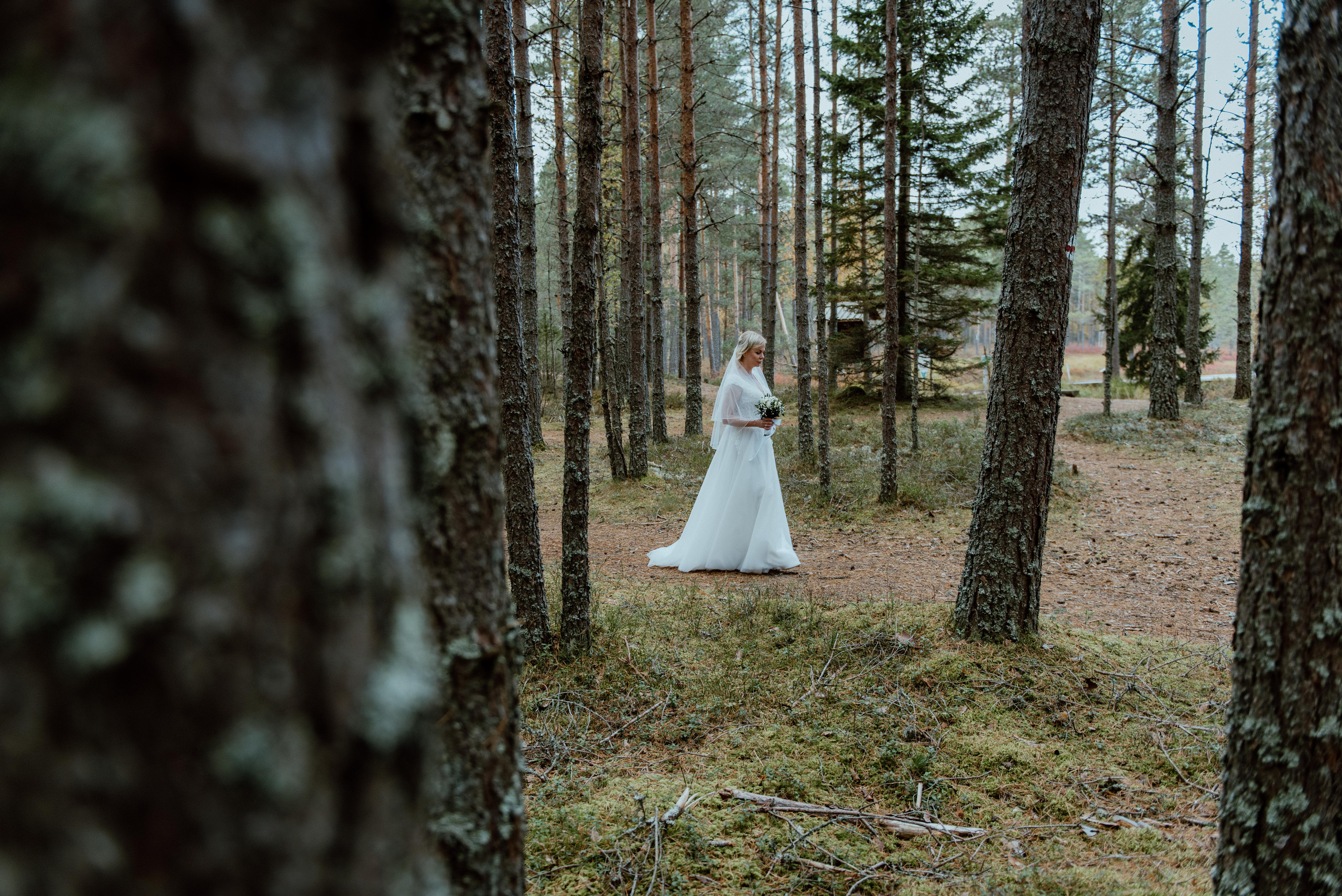 Veigo&Maria. Свадебная и семейная фото- и видеосъемка в Таллине и Одессе