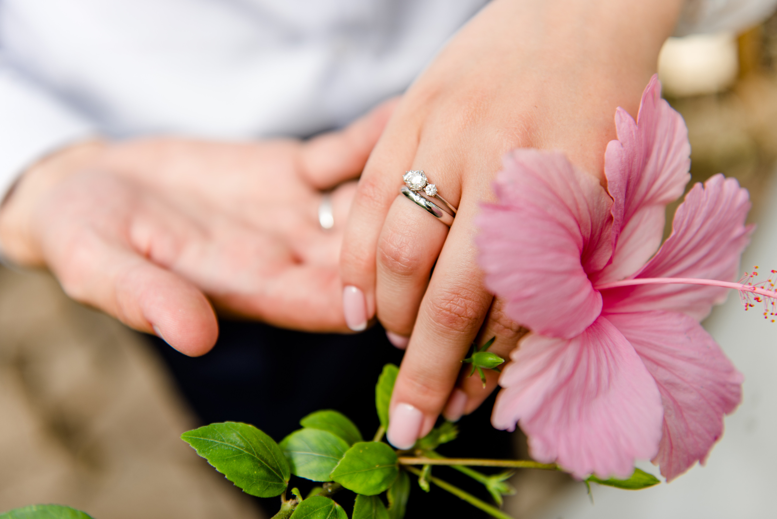 Aleksei & Karina. Wedding and Family Photographer