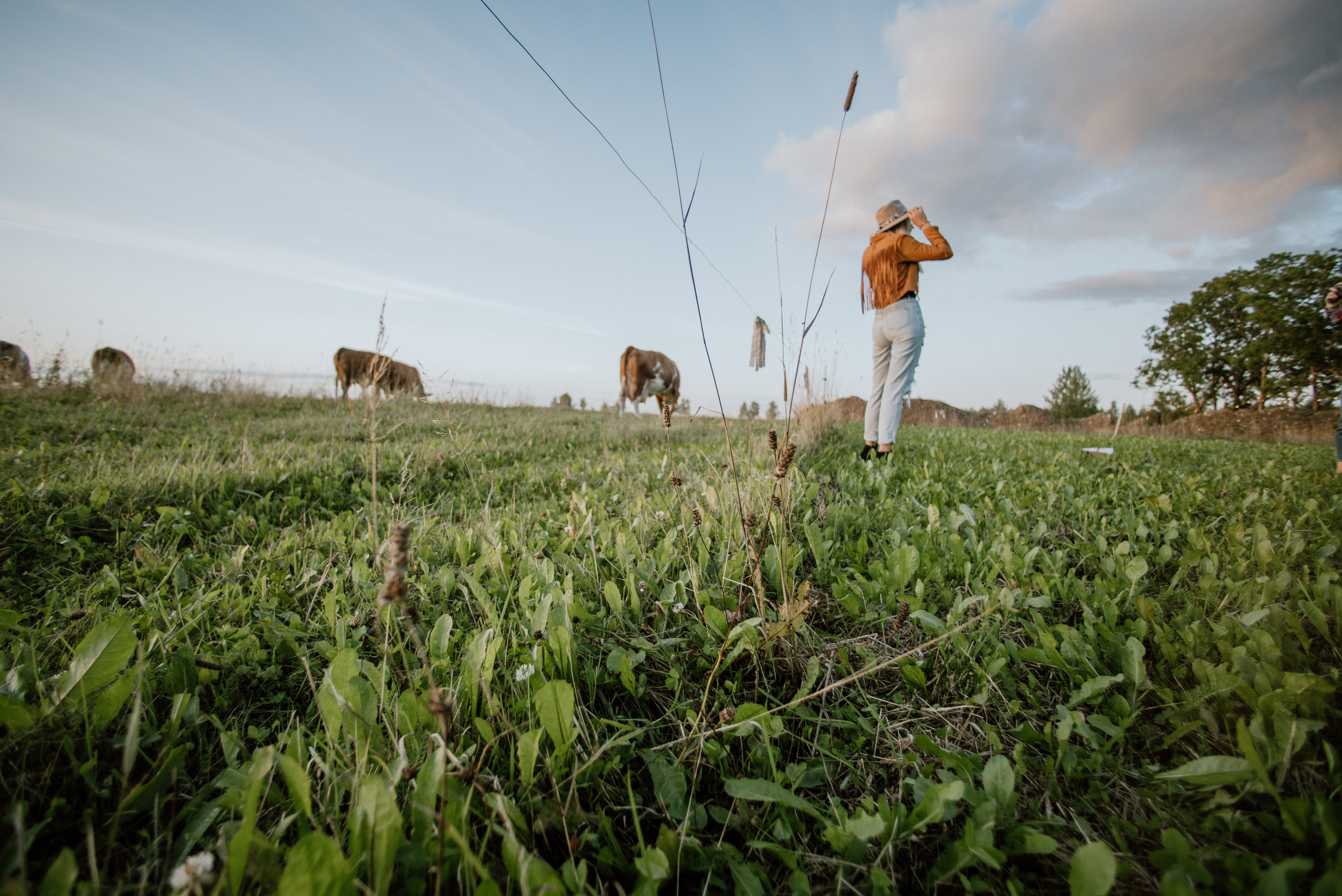 Urisaare 2021, Kantry festival. Pulmafotograaf ja videograaf Eestis, Tallinn