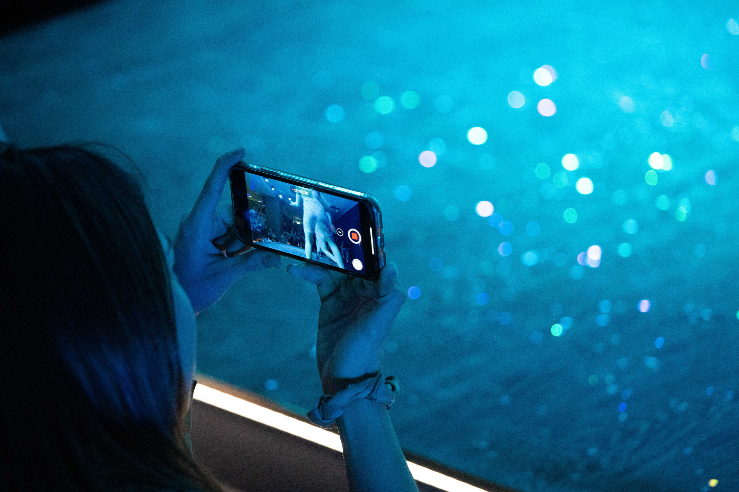 RMagination. Wedding and Family Photographer