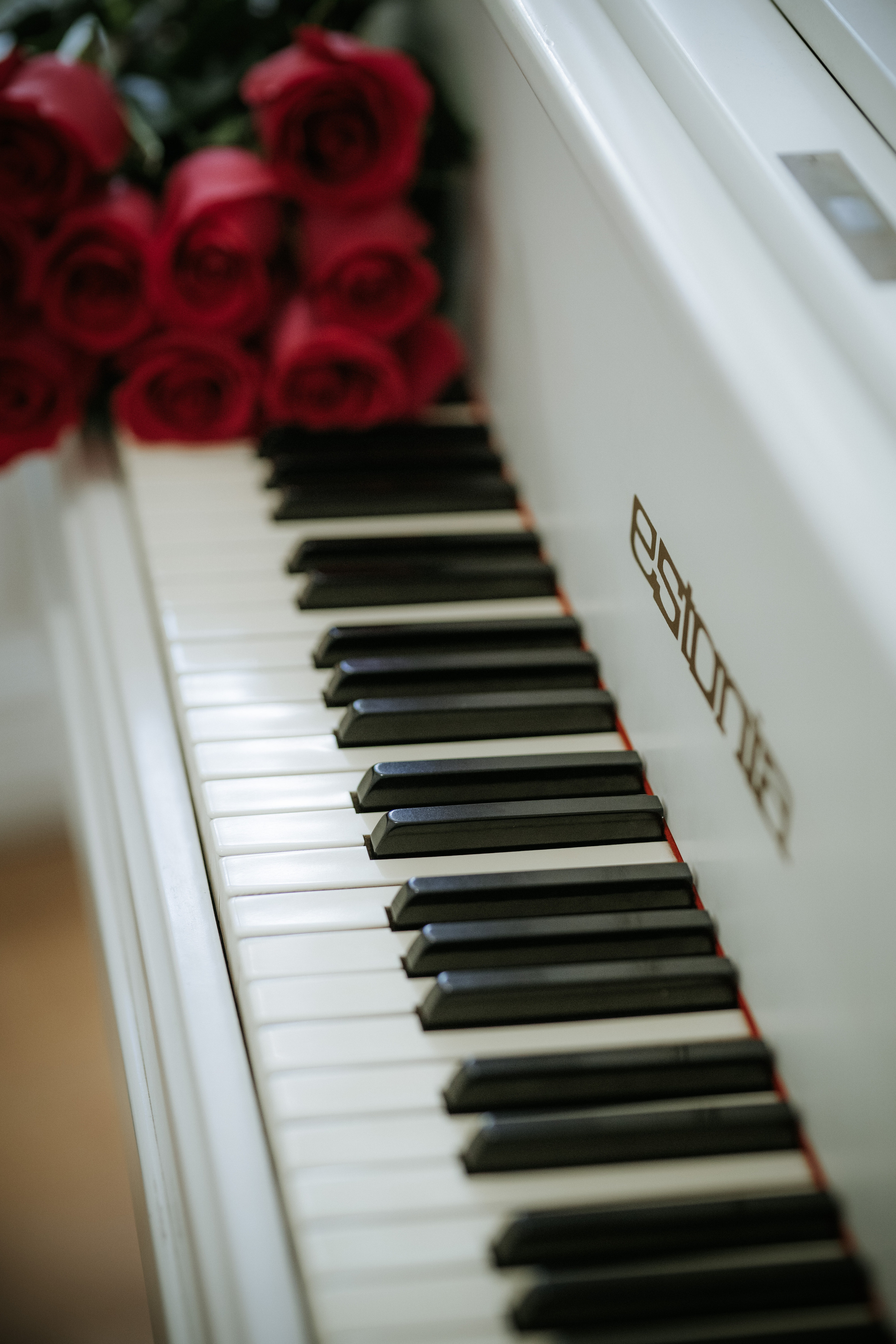 Oleg&Natali. Pulmafotograaf ja videograaf Eestis, Tallinn