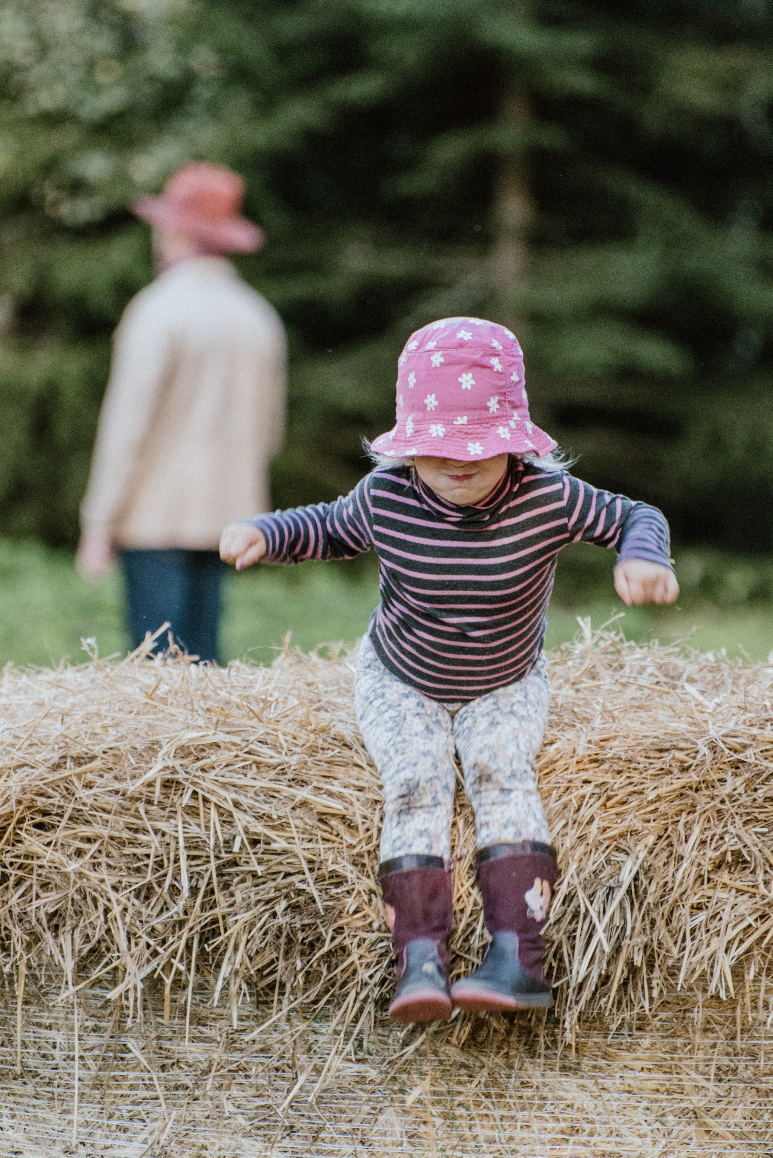 Urisaare 2021, Kantry festival. Pulmafotograaf ja videograaf Eestis, Tallinn