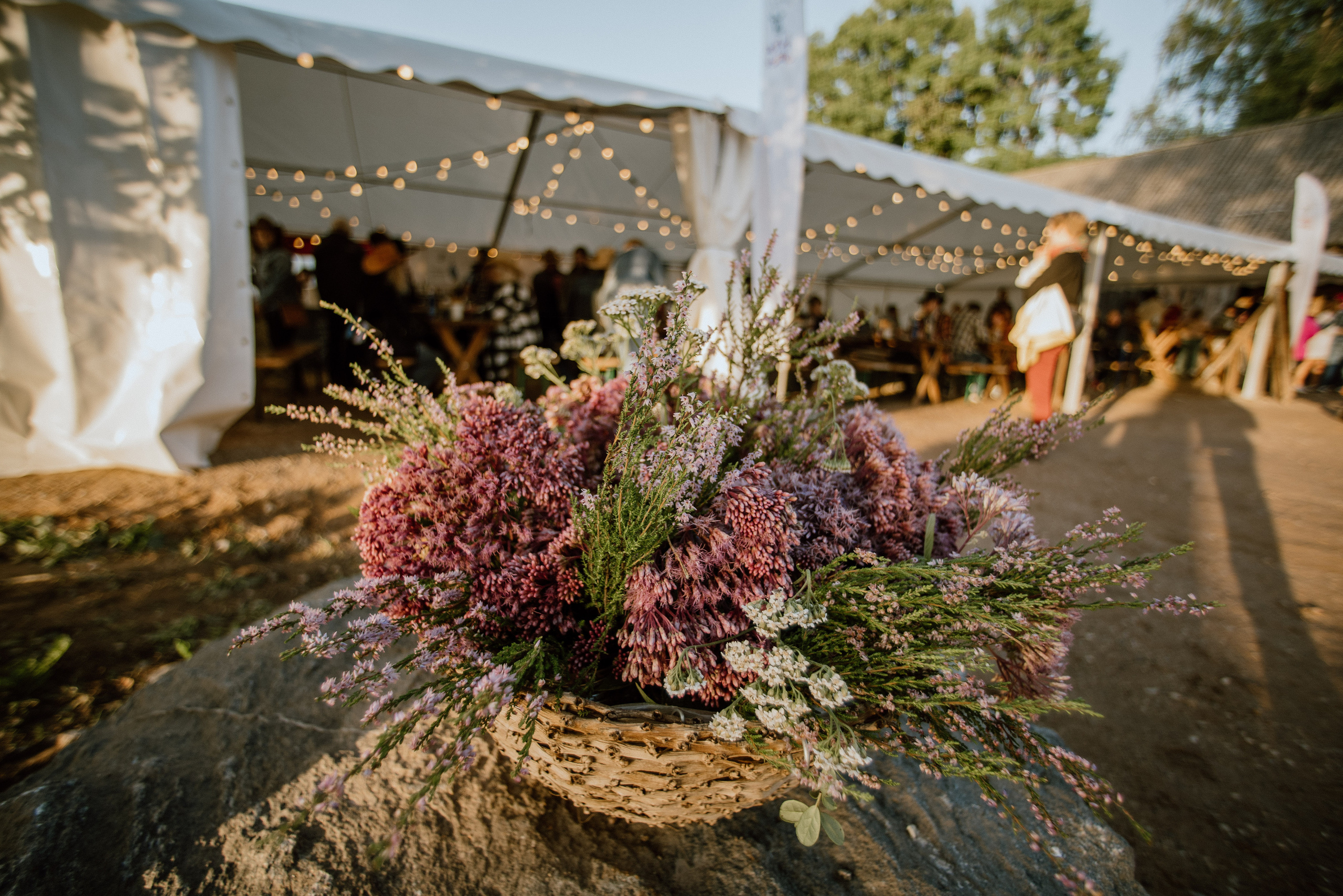 Urisaare 2021, Kantry festival. Pulmafotograaf ja videograaf Eestis, Tallinn