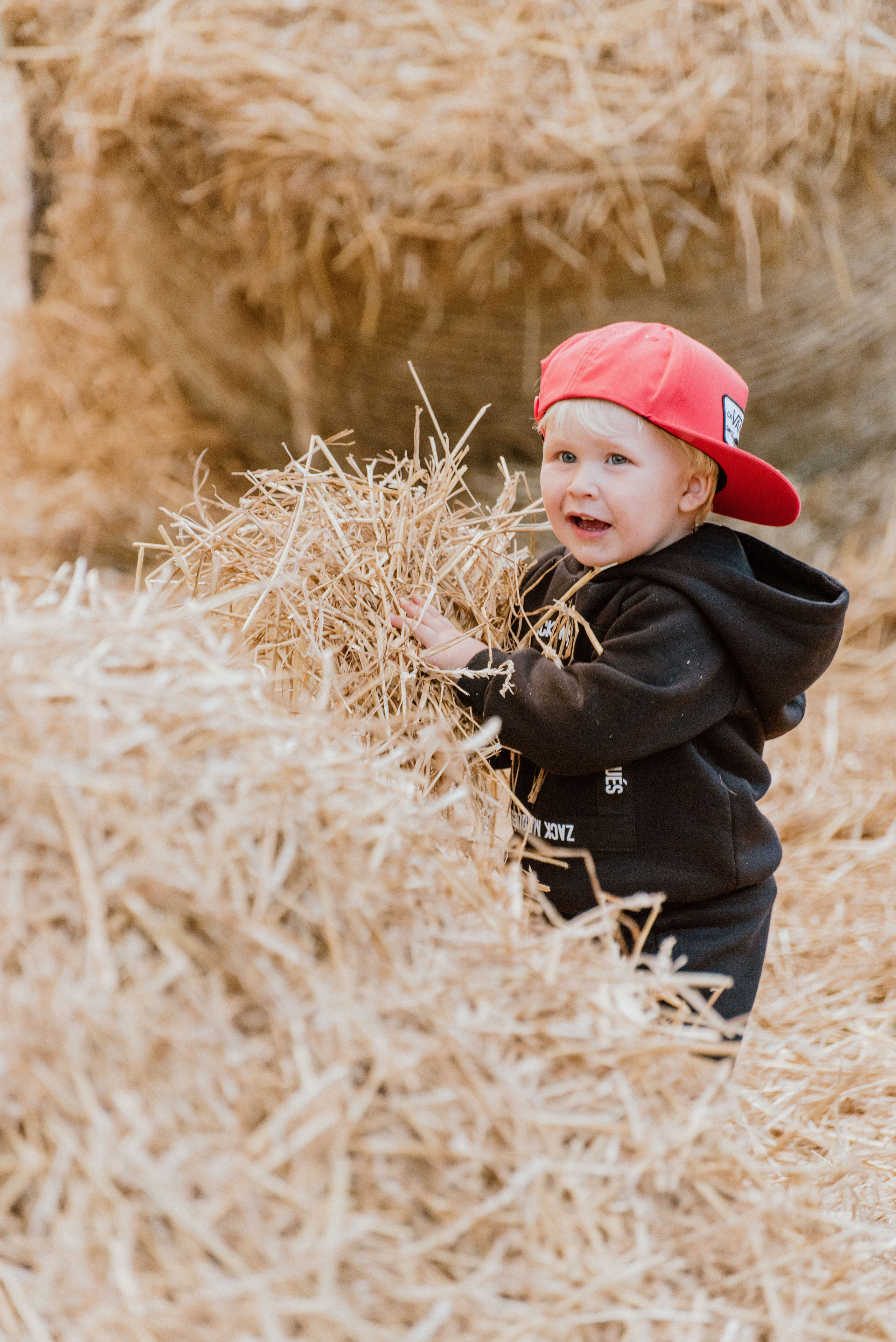 Urisaare 2021, Kantry festival. Pulmafotograaf ja videograaf Eestis, Tallinn