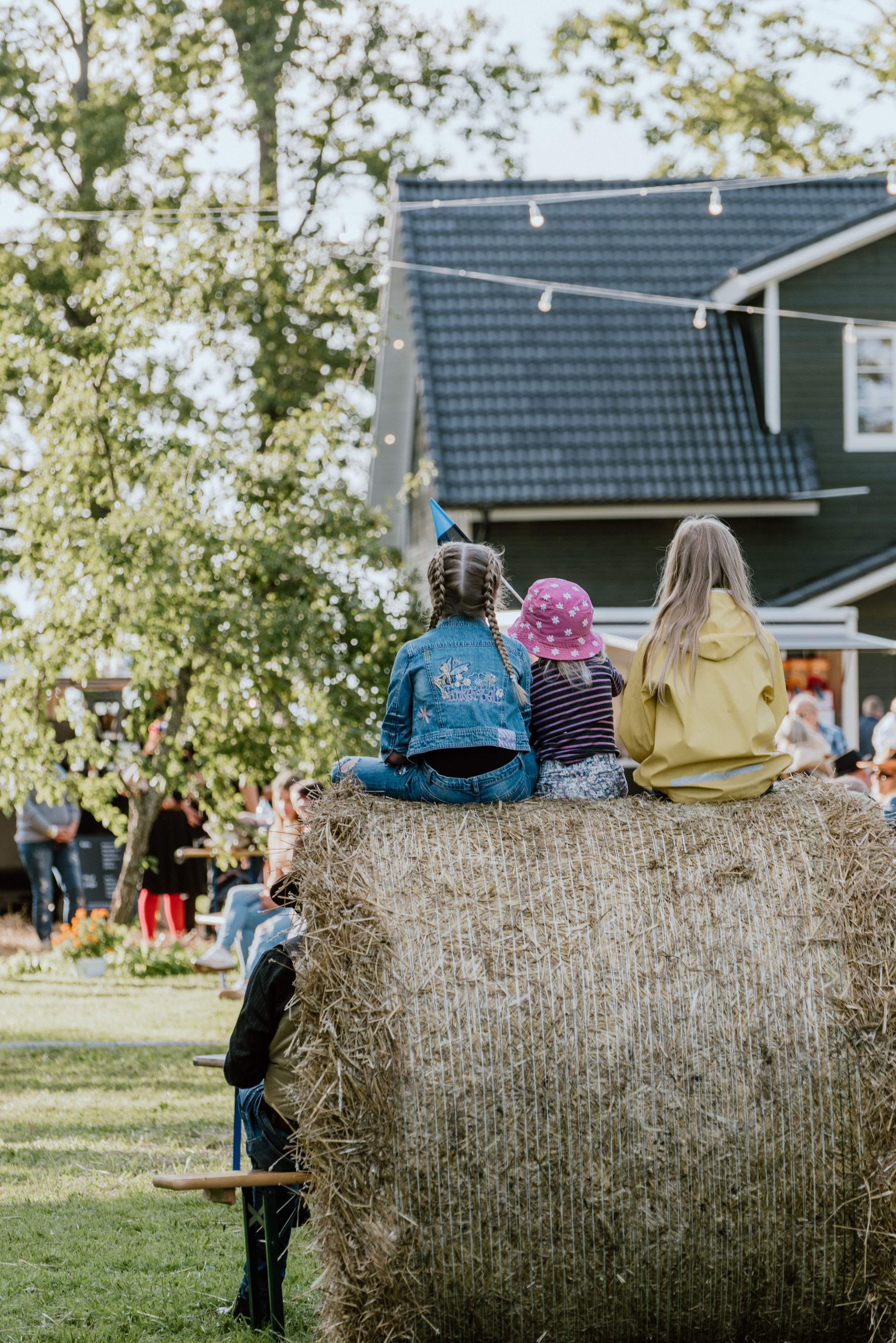 Urisaare 2021, Kantry festival. Pulmafotograaf ja videograaf Eestis, Tallinn