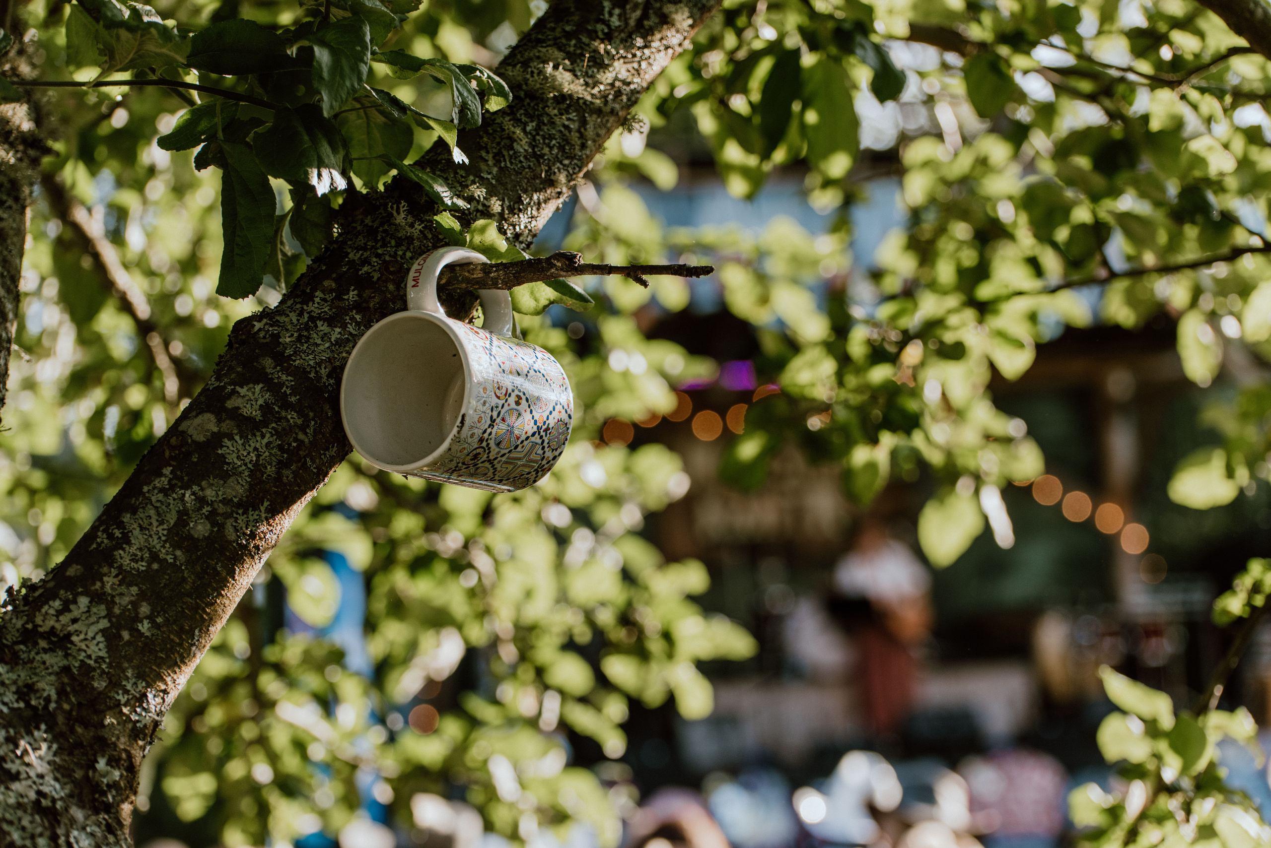 Urisaare 2021, Kantry festival. Pulmafotograaf ja videograaf Eestis, Tallinn