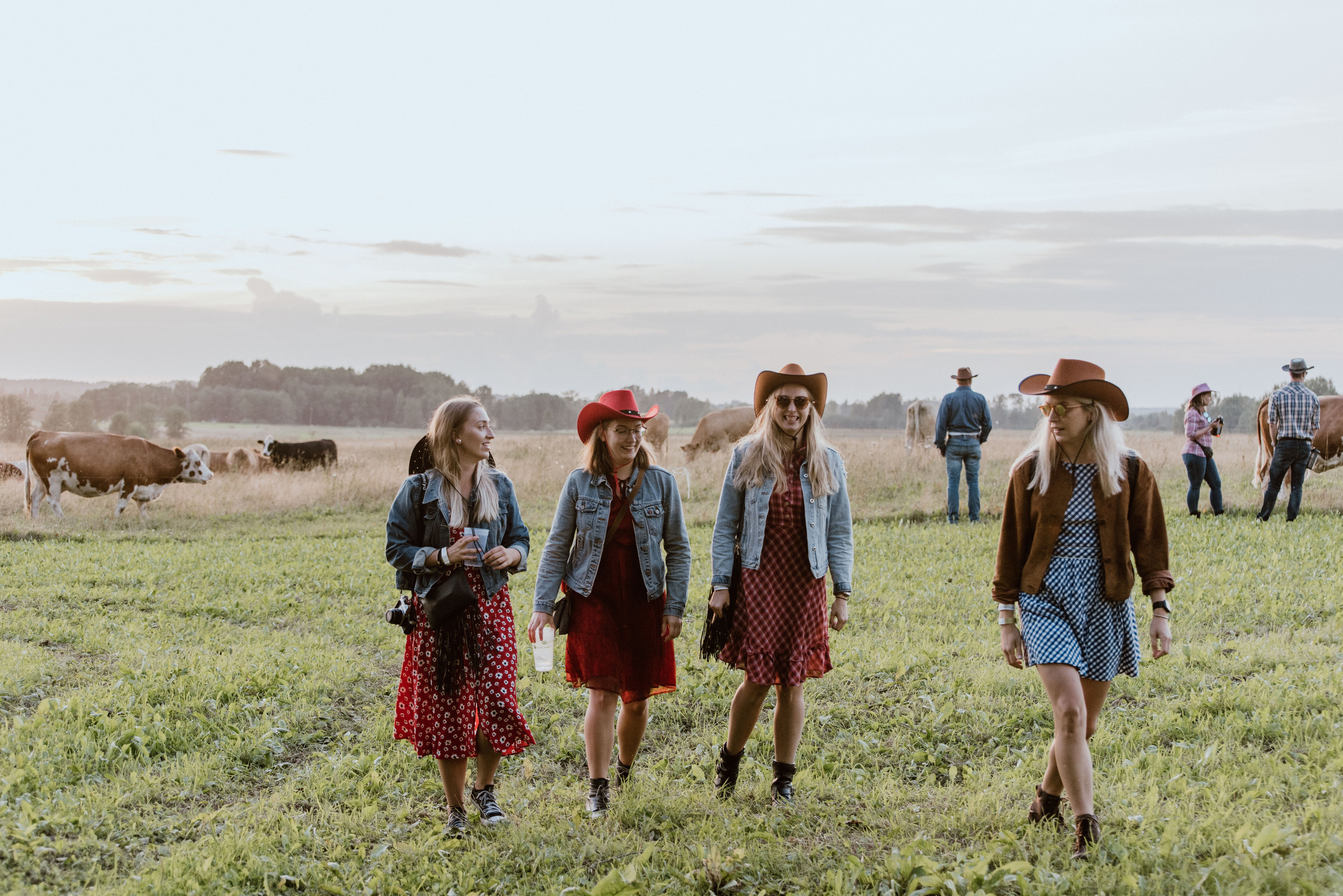 Urisaare 2021, Kantry festival. Pulmafotograaf ja videograaf Eestis, Tallinn