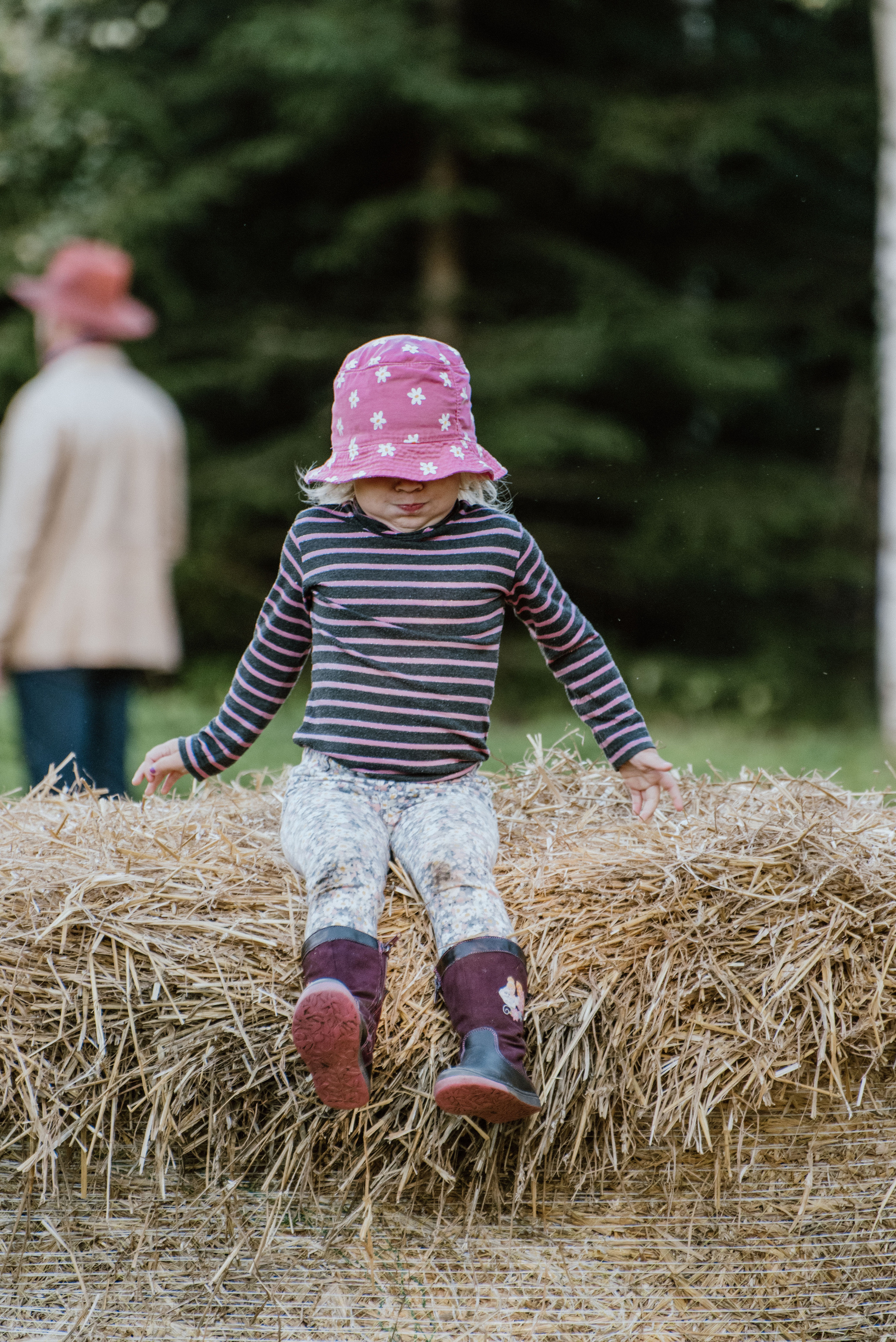 Urisaare 2021, Kantry festival. Pulmafotograaf ja videograaf Eestis, Tallinn