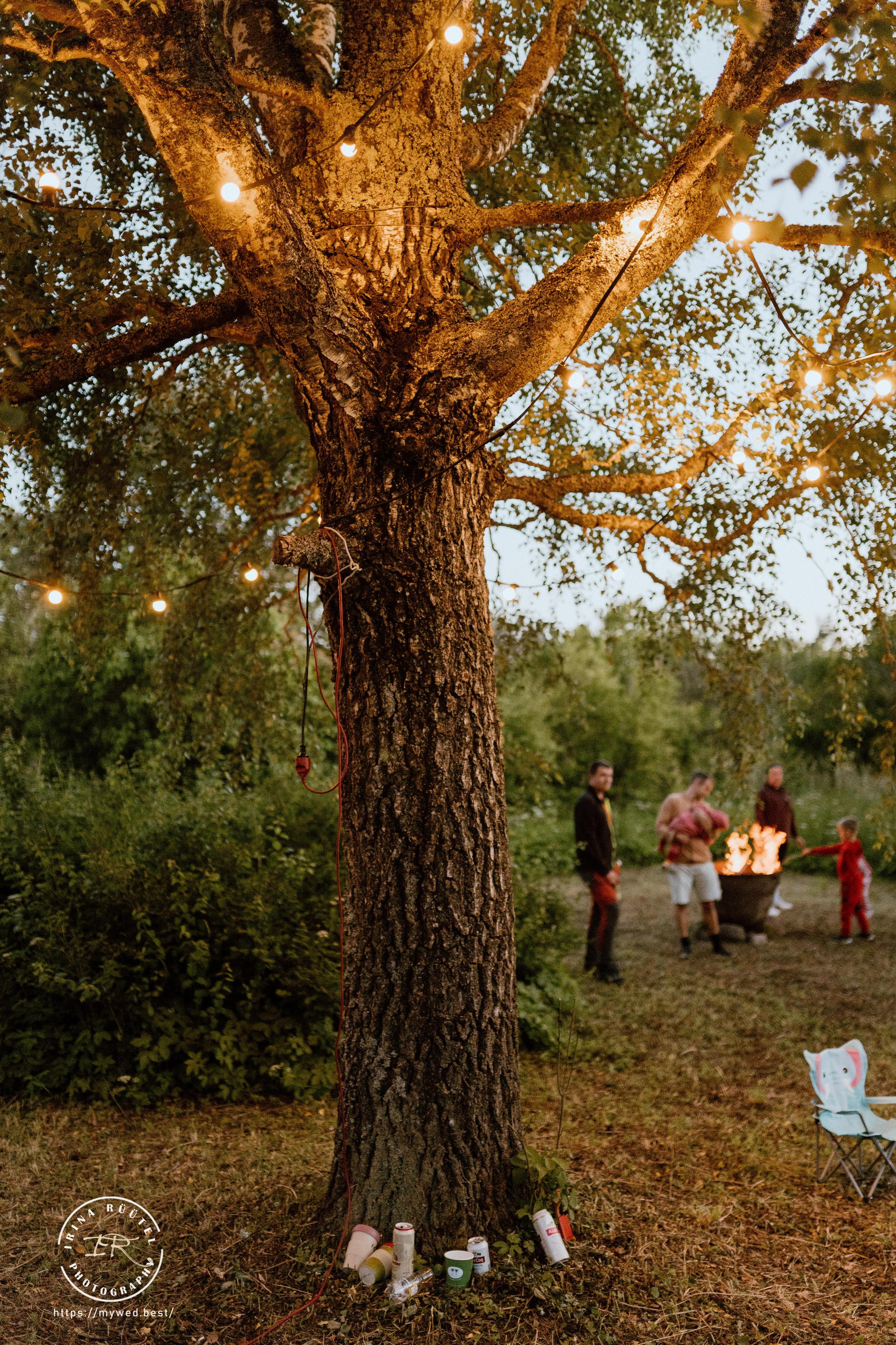 Salooga. Saaremaa. Wedding and Family Photographer