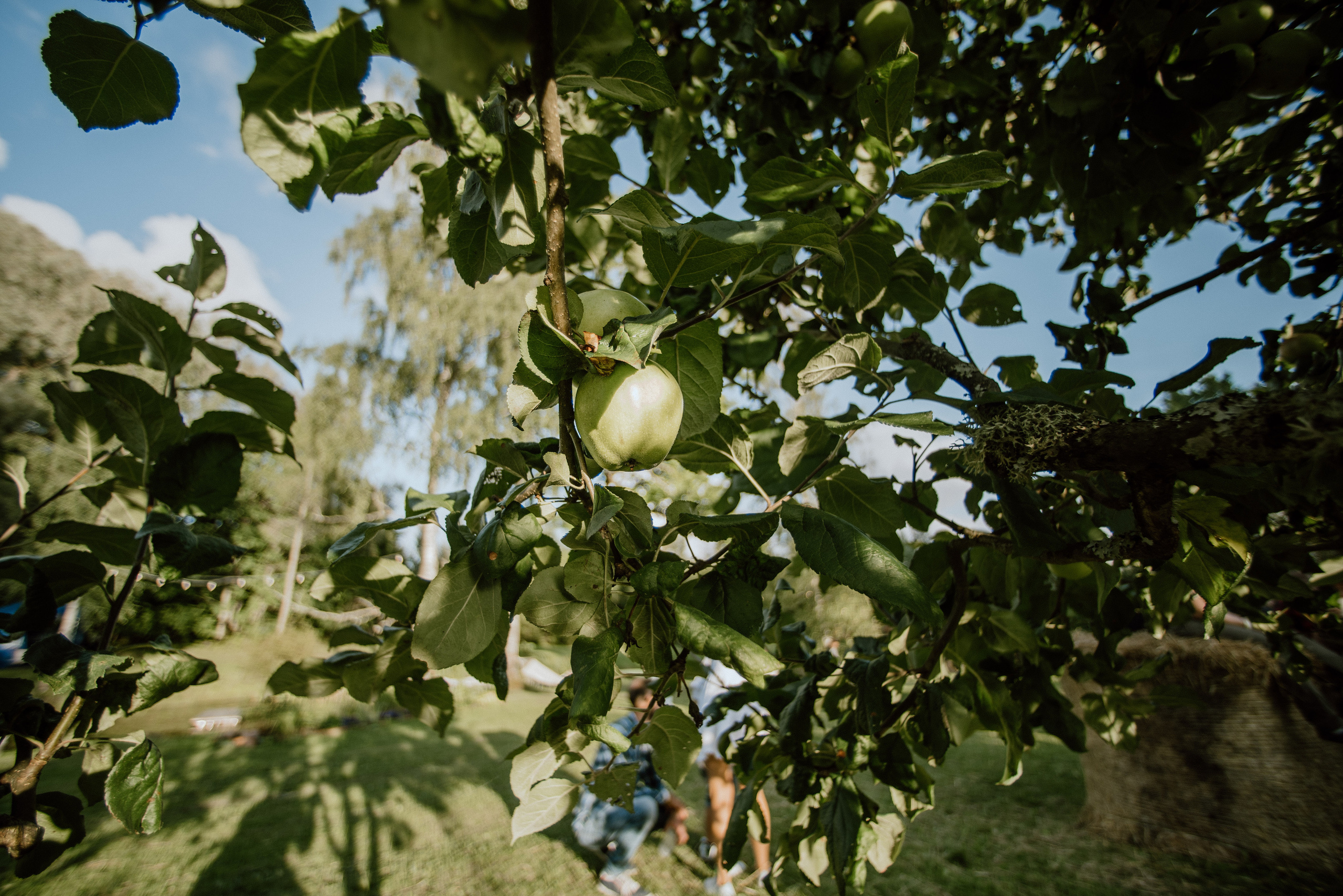 Urisaare 2021, Kantry festival. Pulmafotograaf ja videograaf Eestis, Tallinn