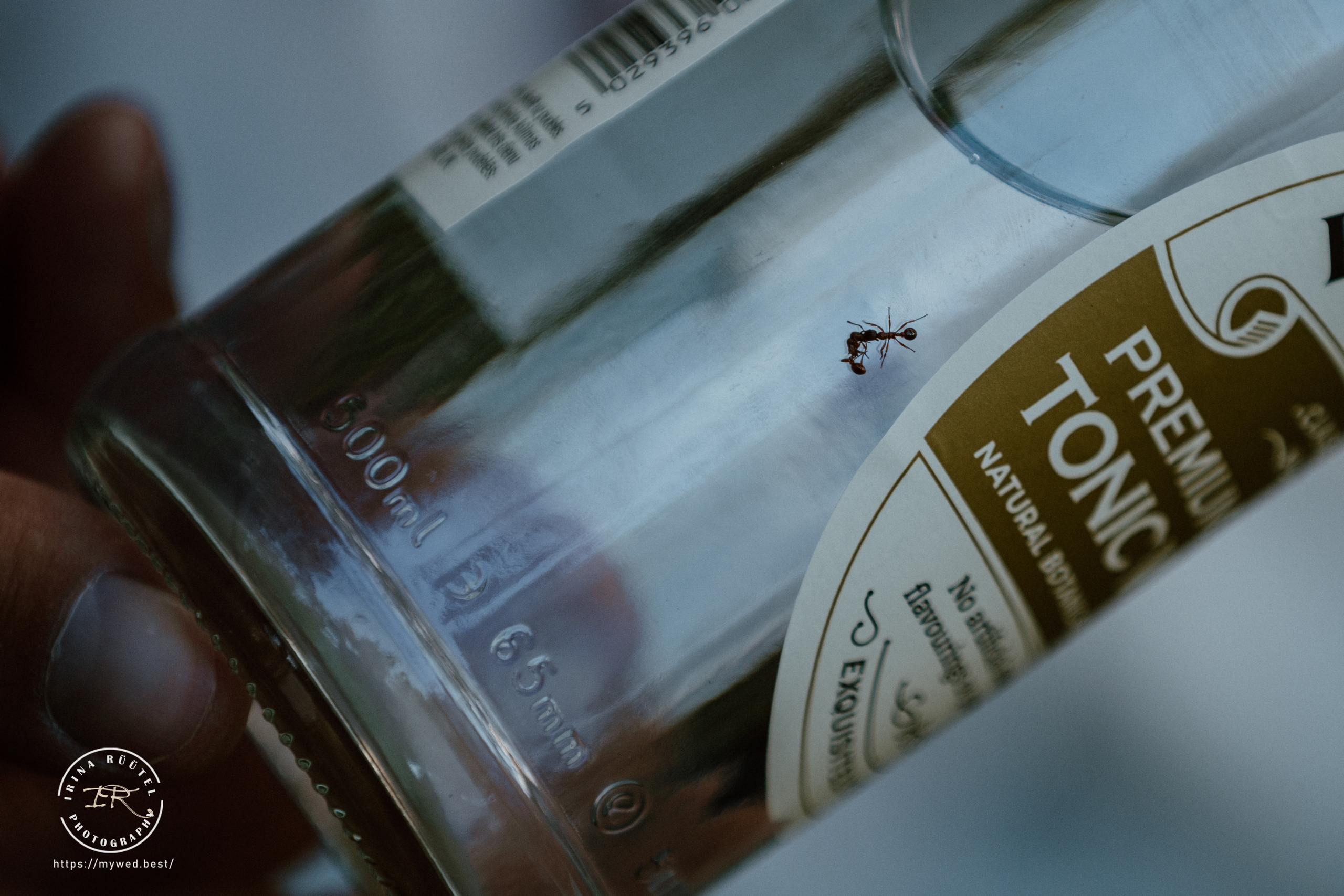 Salooga. Saaremaa. Wedding and Family Photographer