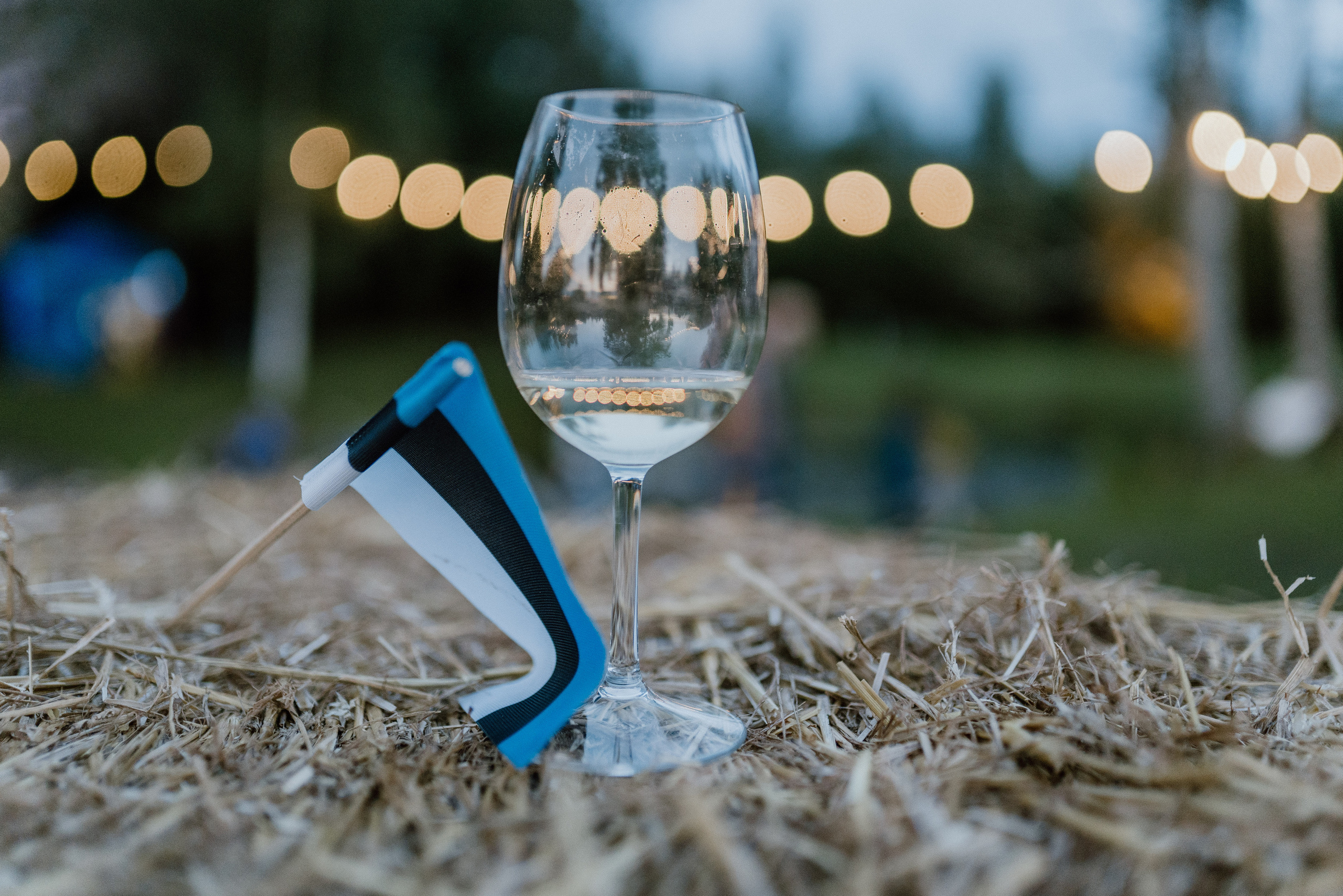 Urisaare 2021, Kantry festival. Pulmafotograaf ja videograaf Eestis, Tallinn