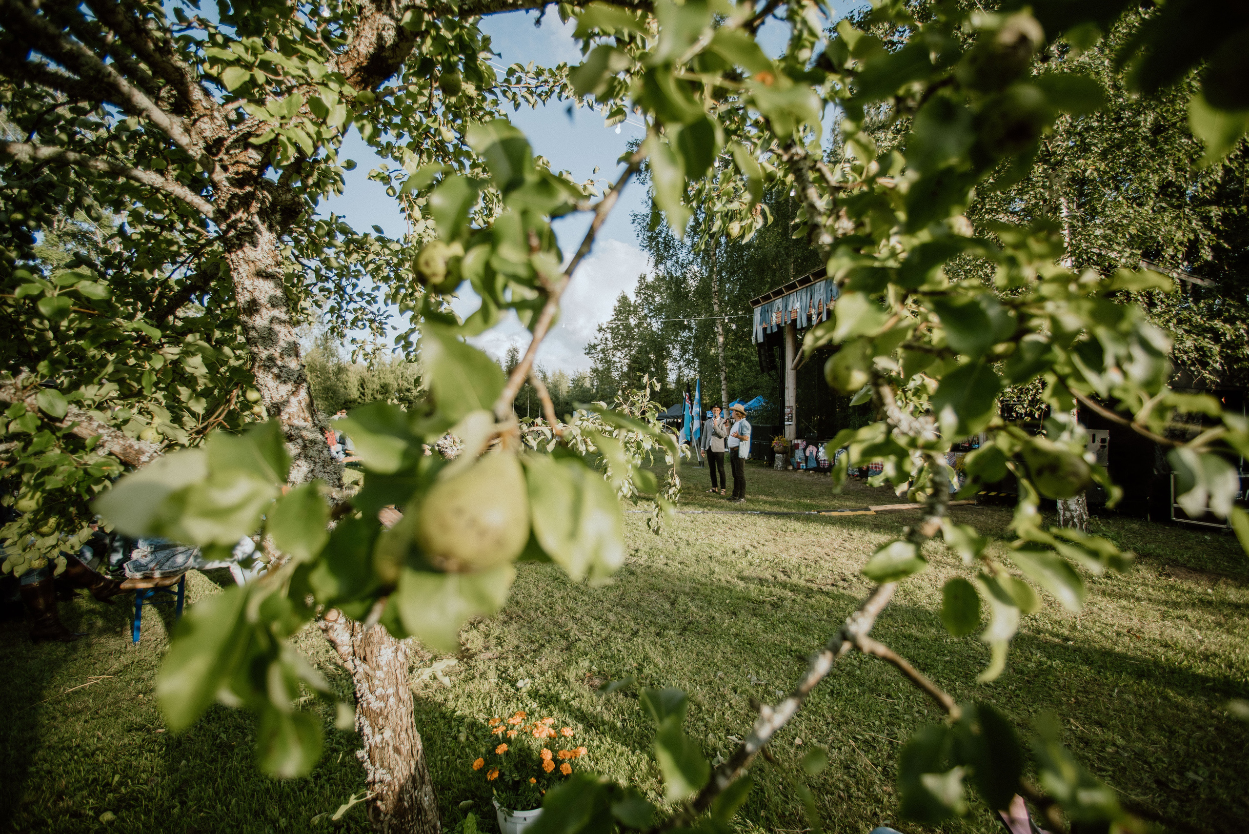 Urisaare 2021, Kantry festival. Pulmafotograaf ja videograaf Eestis, Tallinn