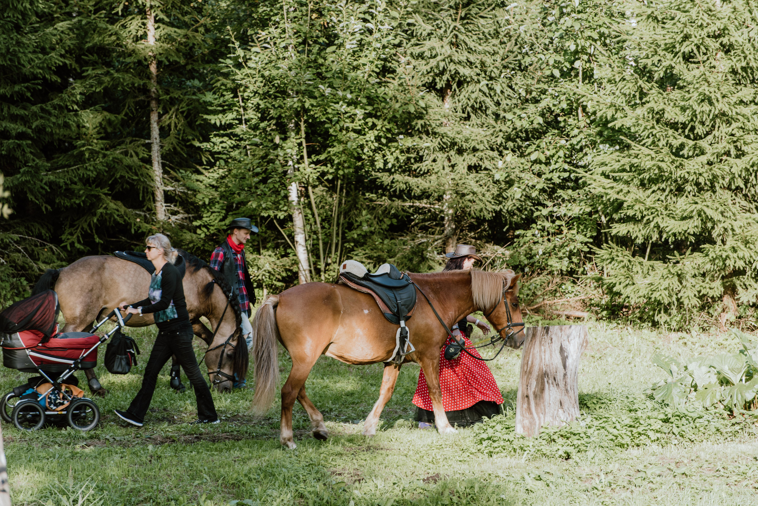 Urisaare 2021, Kantry festival. Pulmafotograaf ja videograaf Eestis, Tallinn