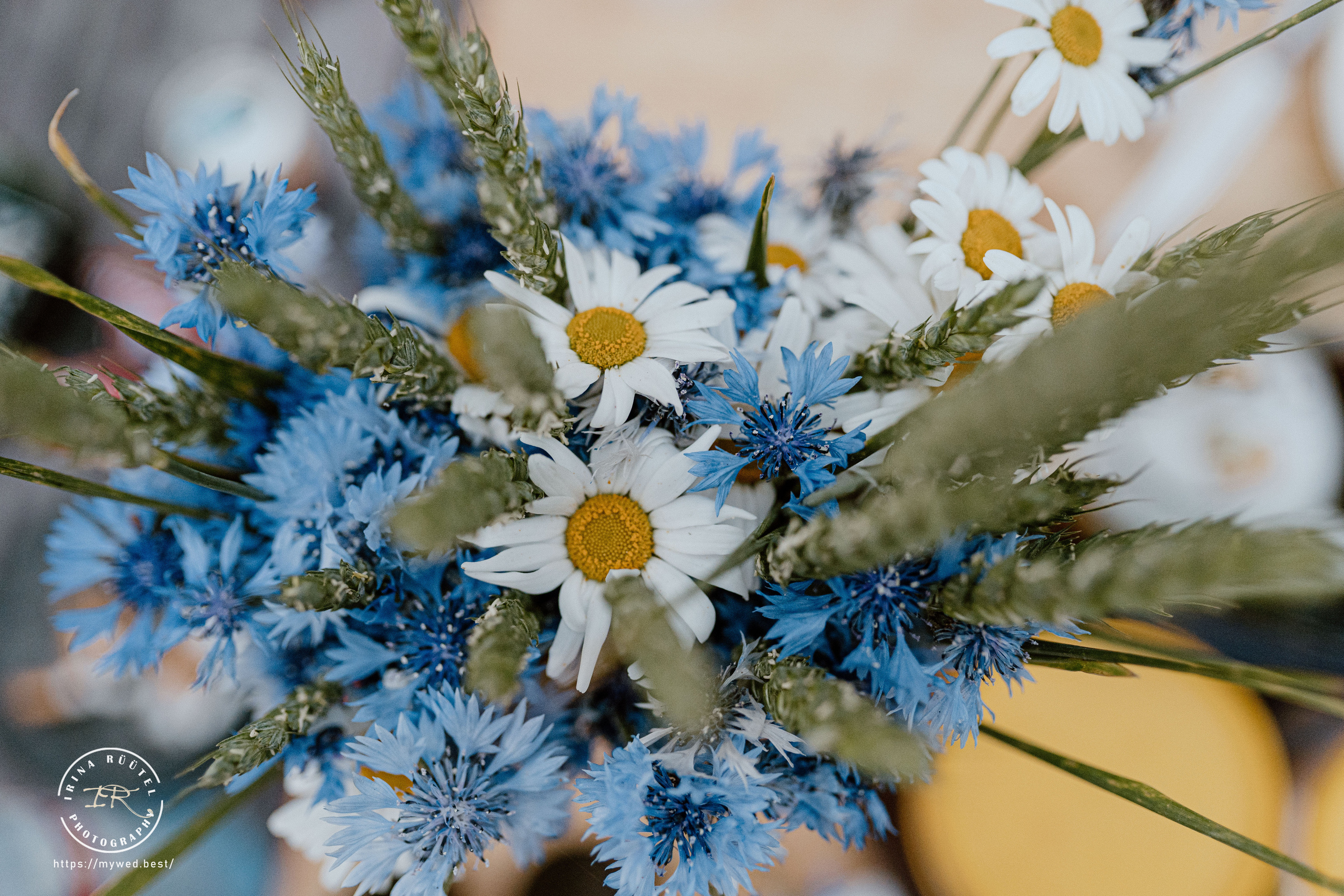Salooga. Saaremaa. Wedding and Family Photographer