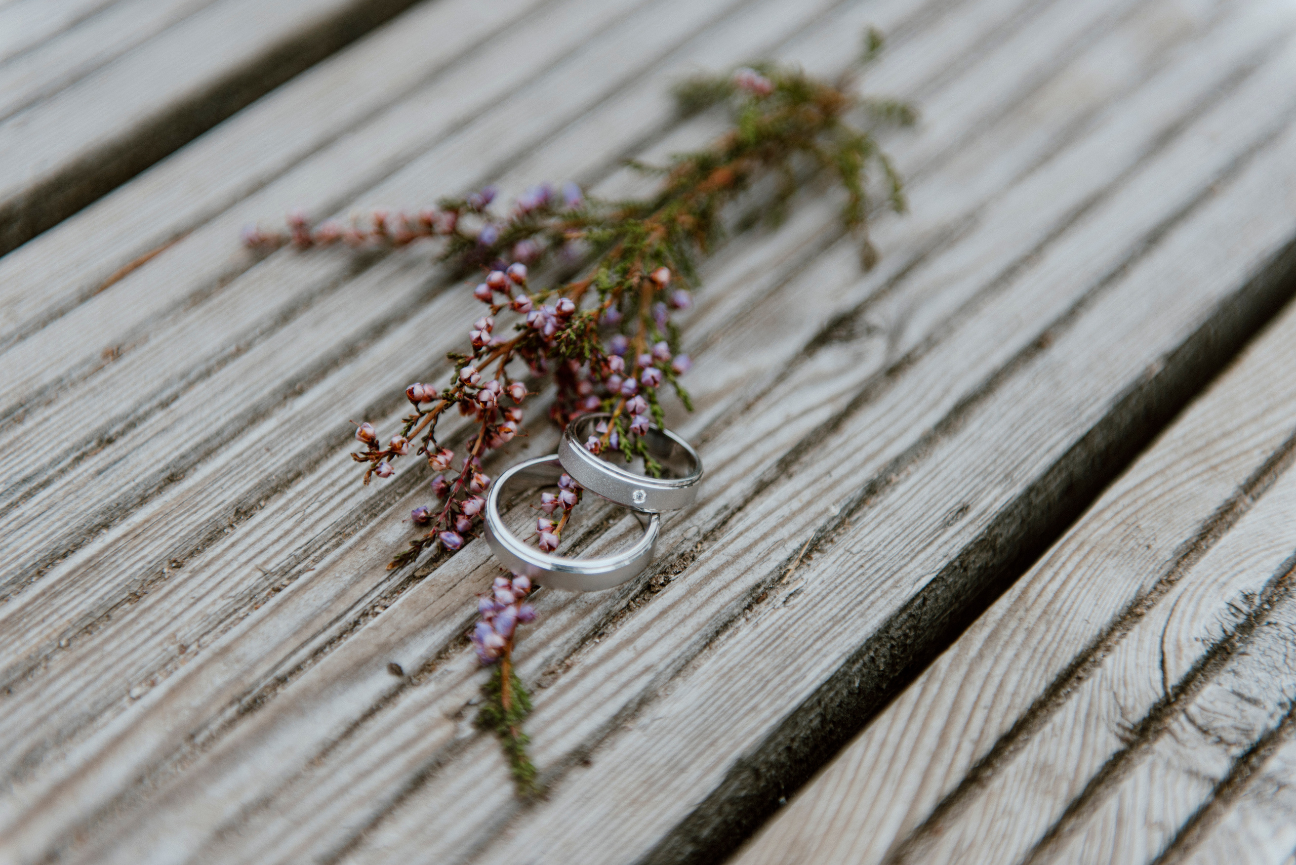 Veigo&Maria. Свадебная и семейная фото- и видеосъемка в Таллине и Одессе