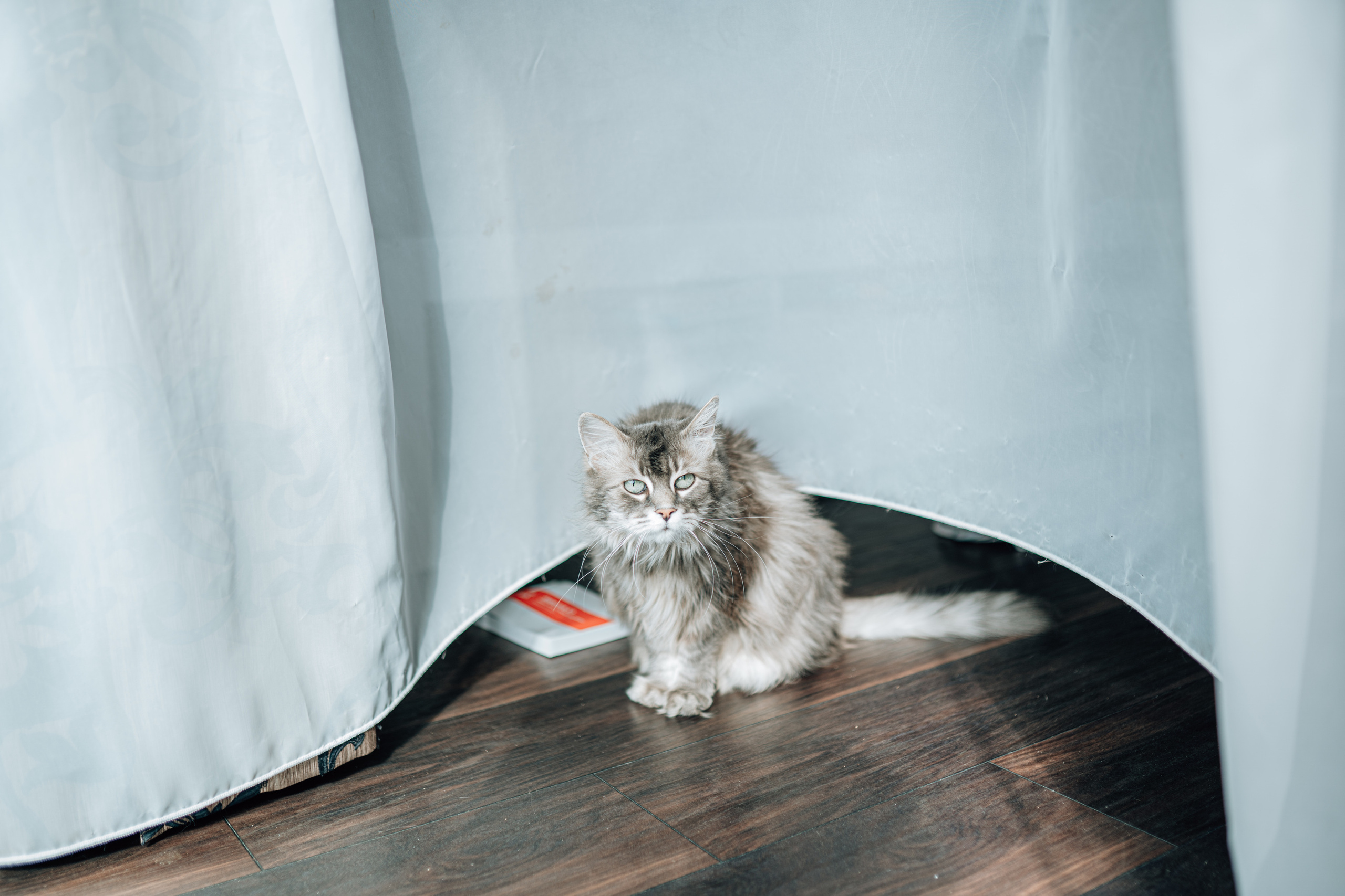 Siim&Elina. Wedding and Family Photographer