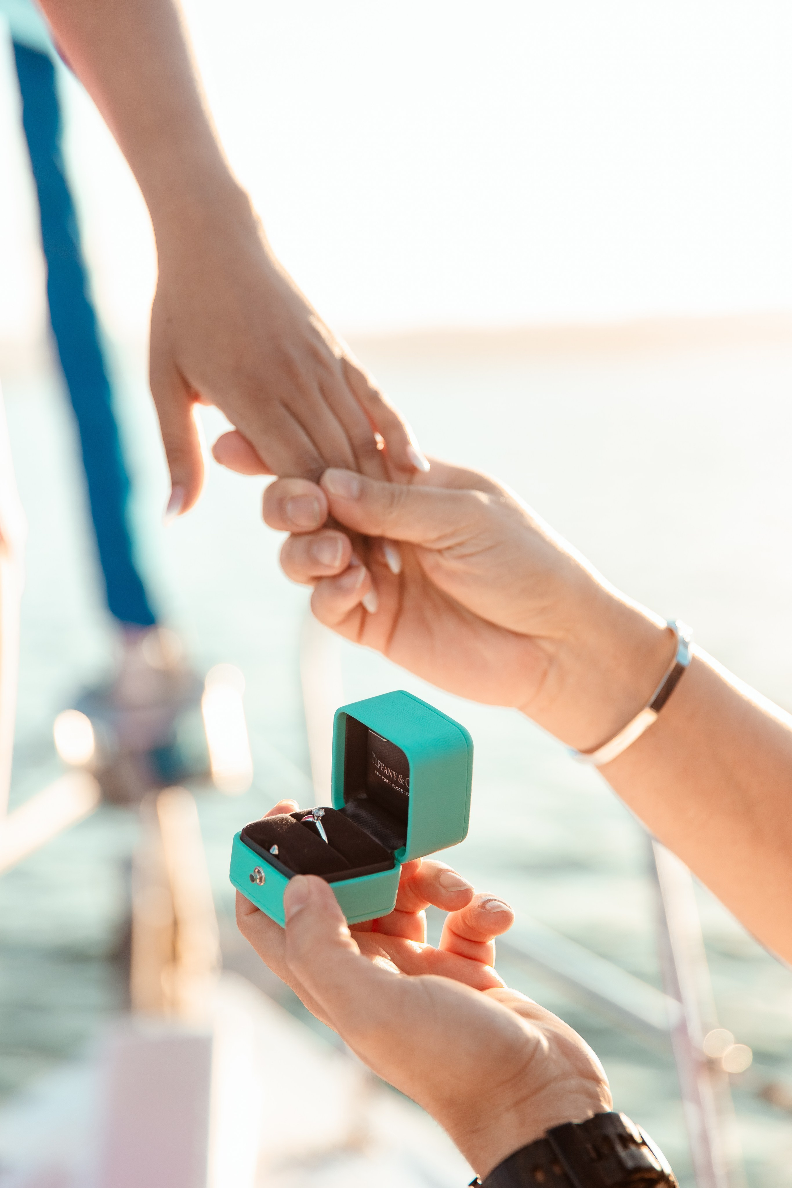 Marriage proposal photoshoot!. FAMILY & KIDS PHOTOGRAPHER in San Diego