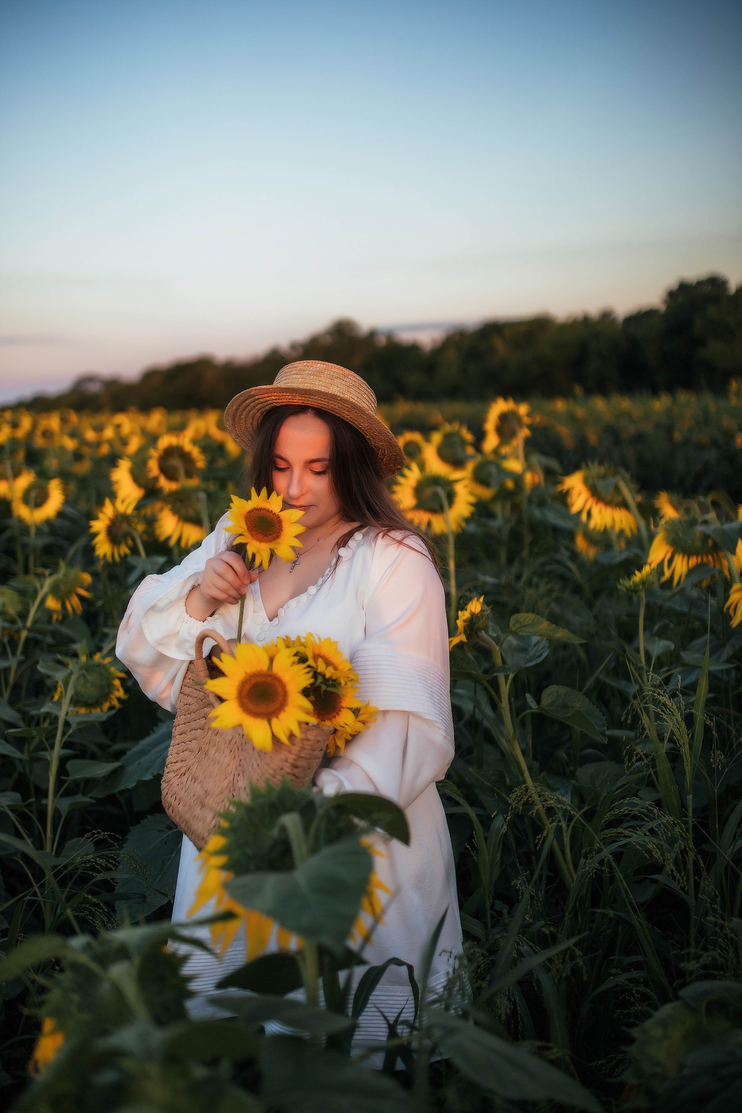 Вікторія і соняшники. Семейный и свадебный фотограф в Харьков
