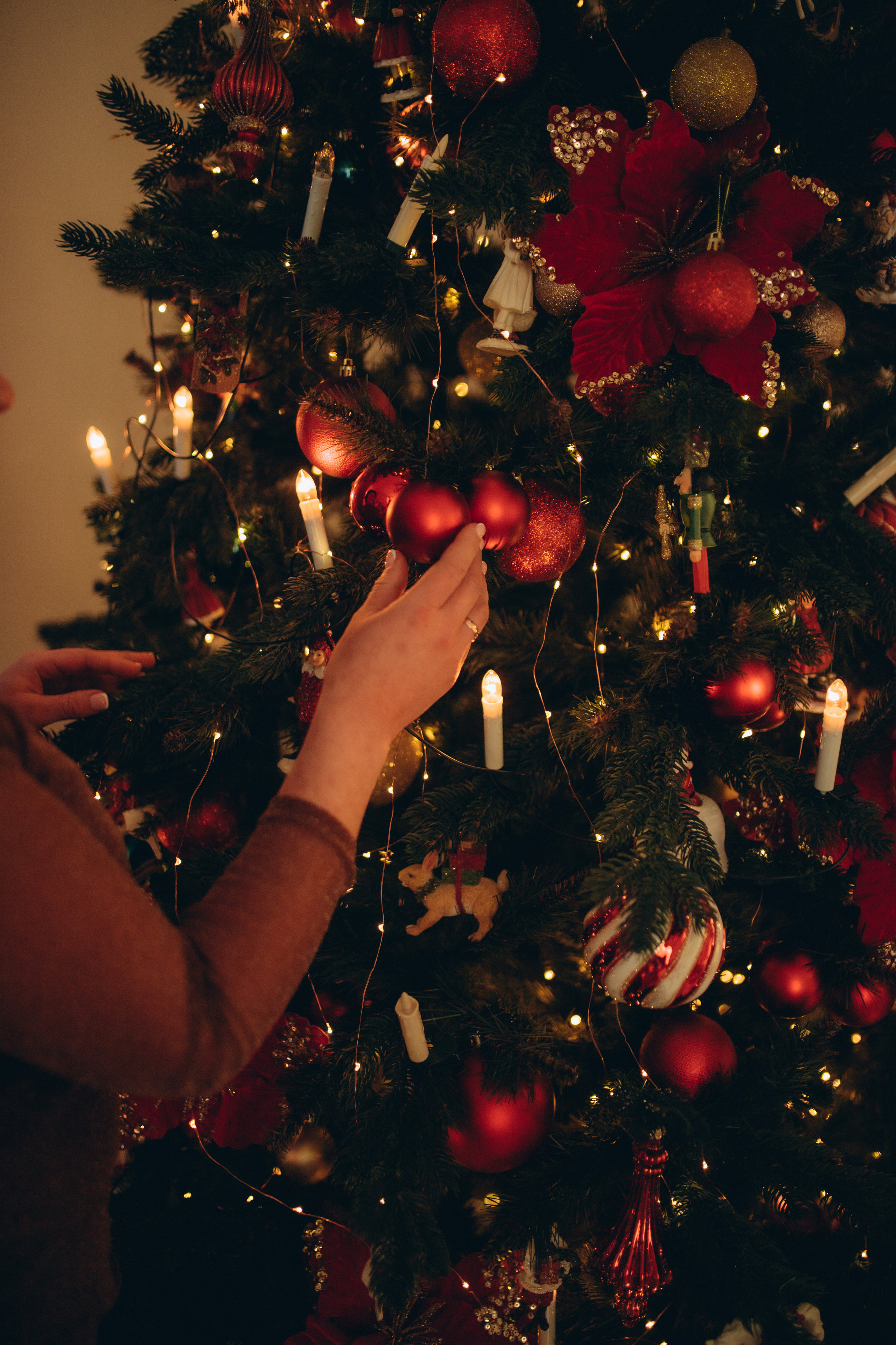 Олена. Семейный и свадебный фотограф в Харьков