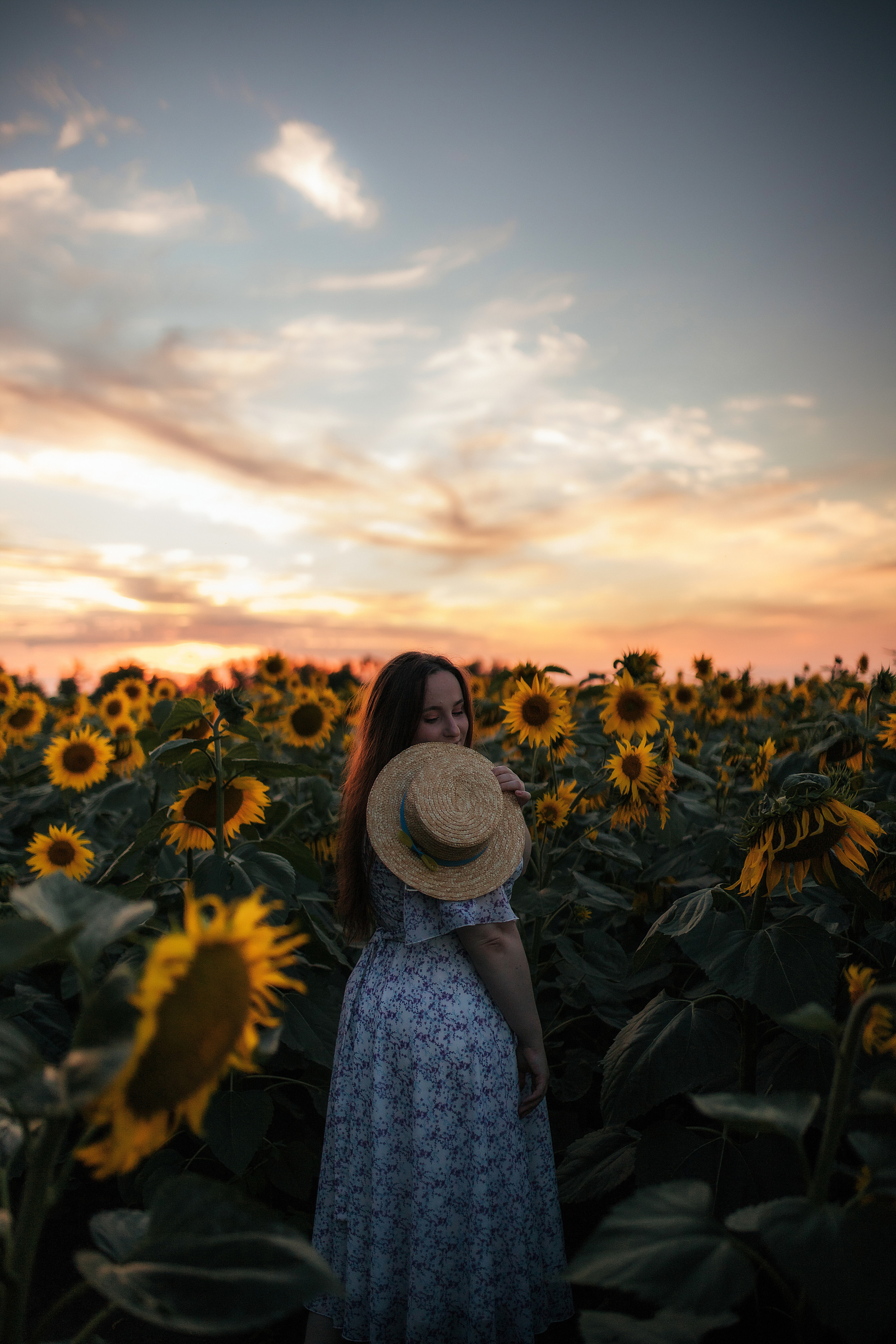Вікторія і соняшники. Семейный и свадебный фотограф в Харьков
