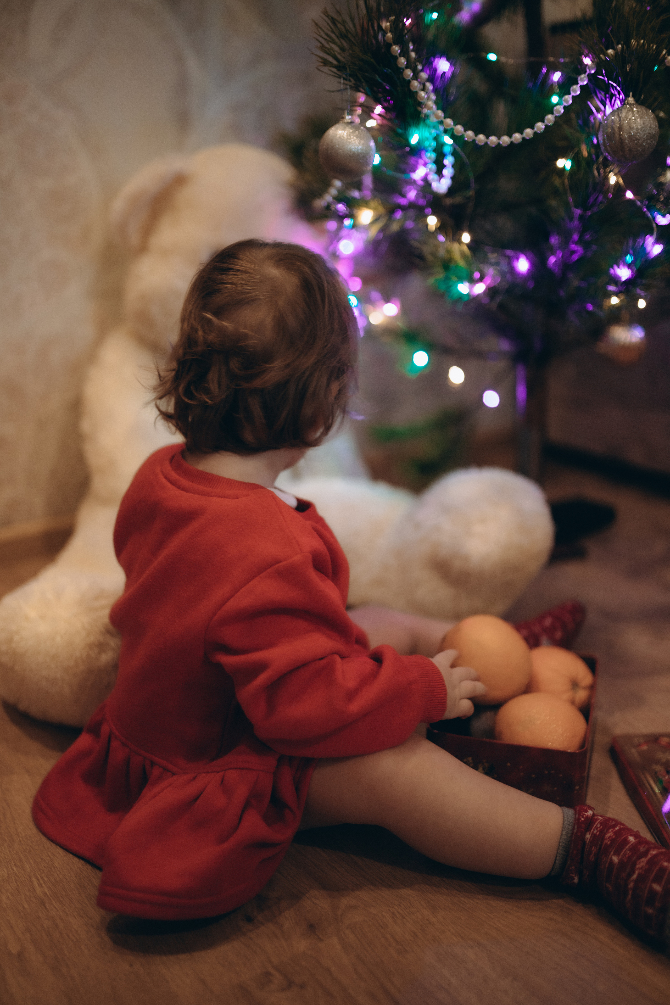 Даринка. Семейный и свадебный фотограф в Харьков