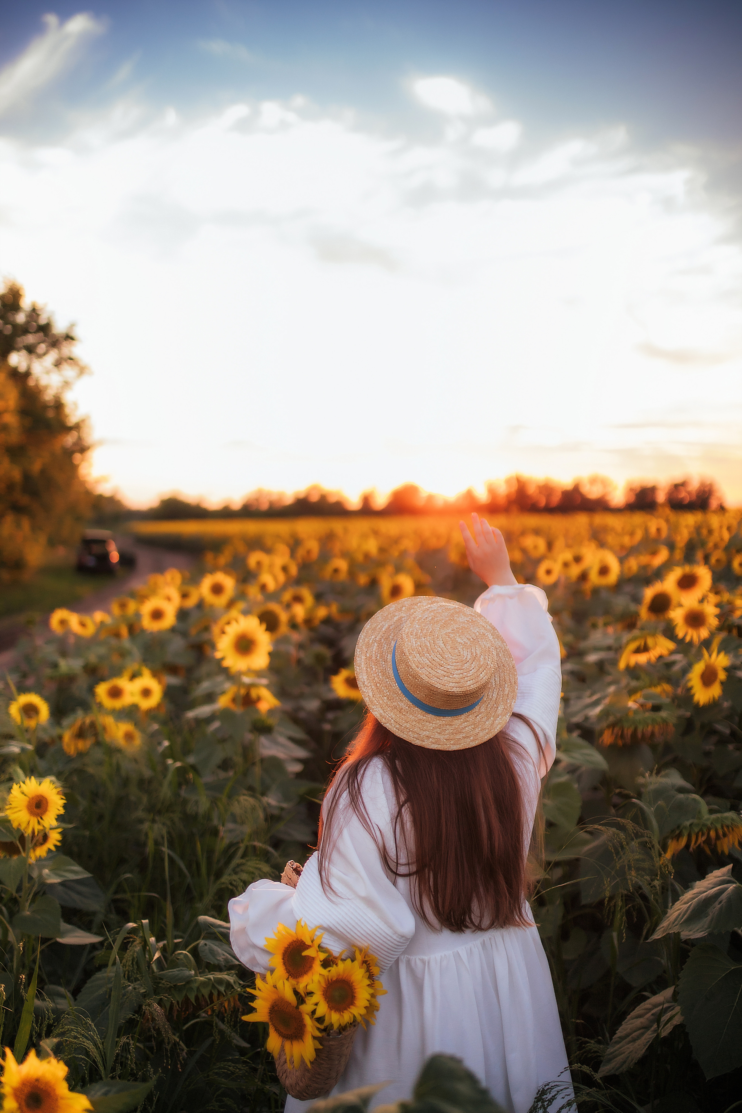 Вікторія і соняшники. Семейный и свадебный фотограф в Харьков