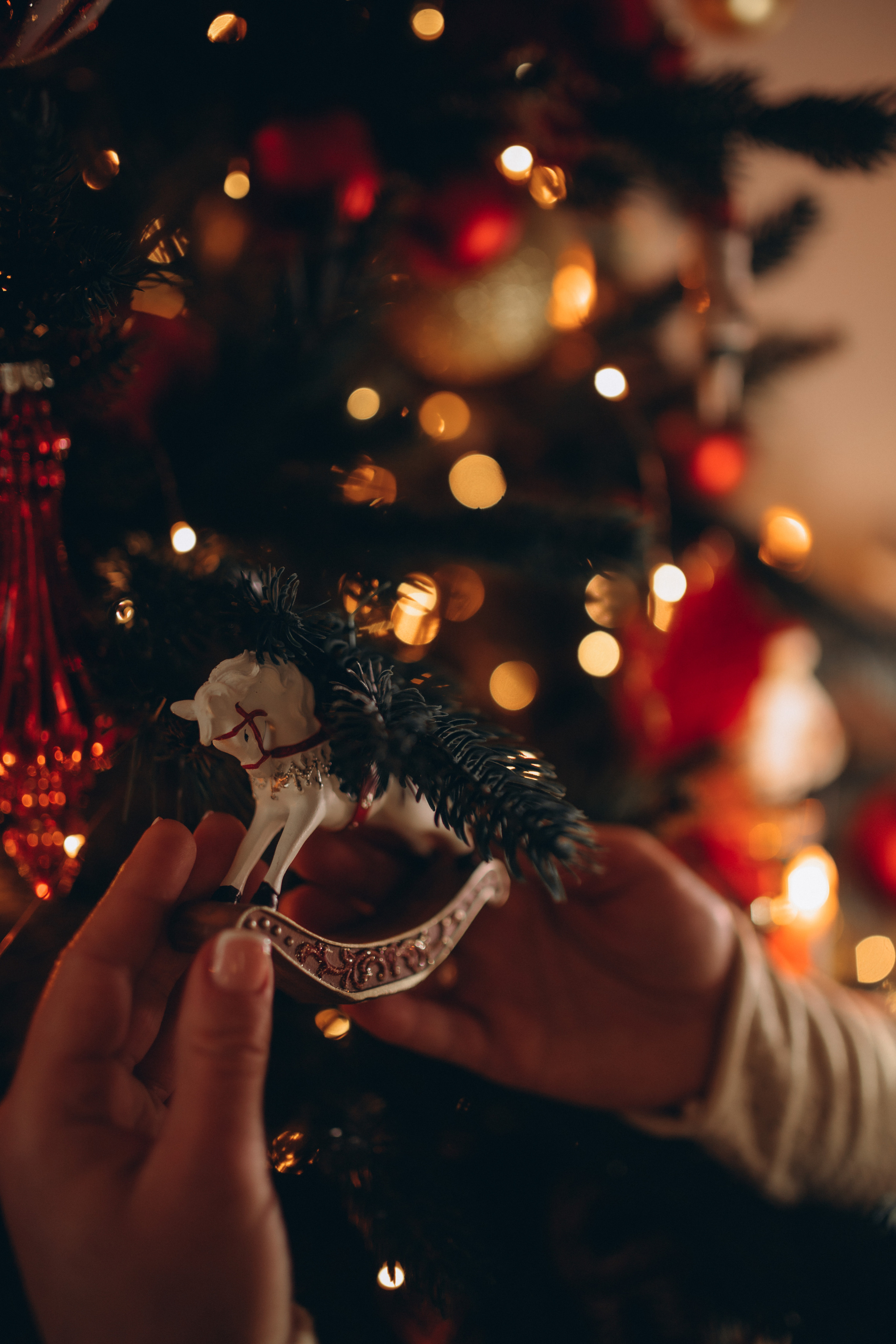 Олена. Семейный и свадебный фотограф в Харьков