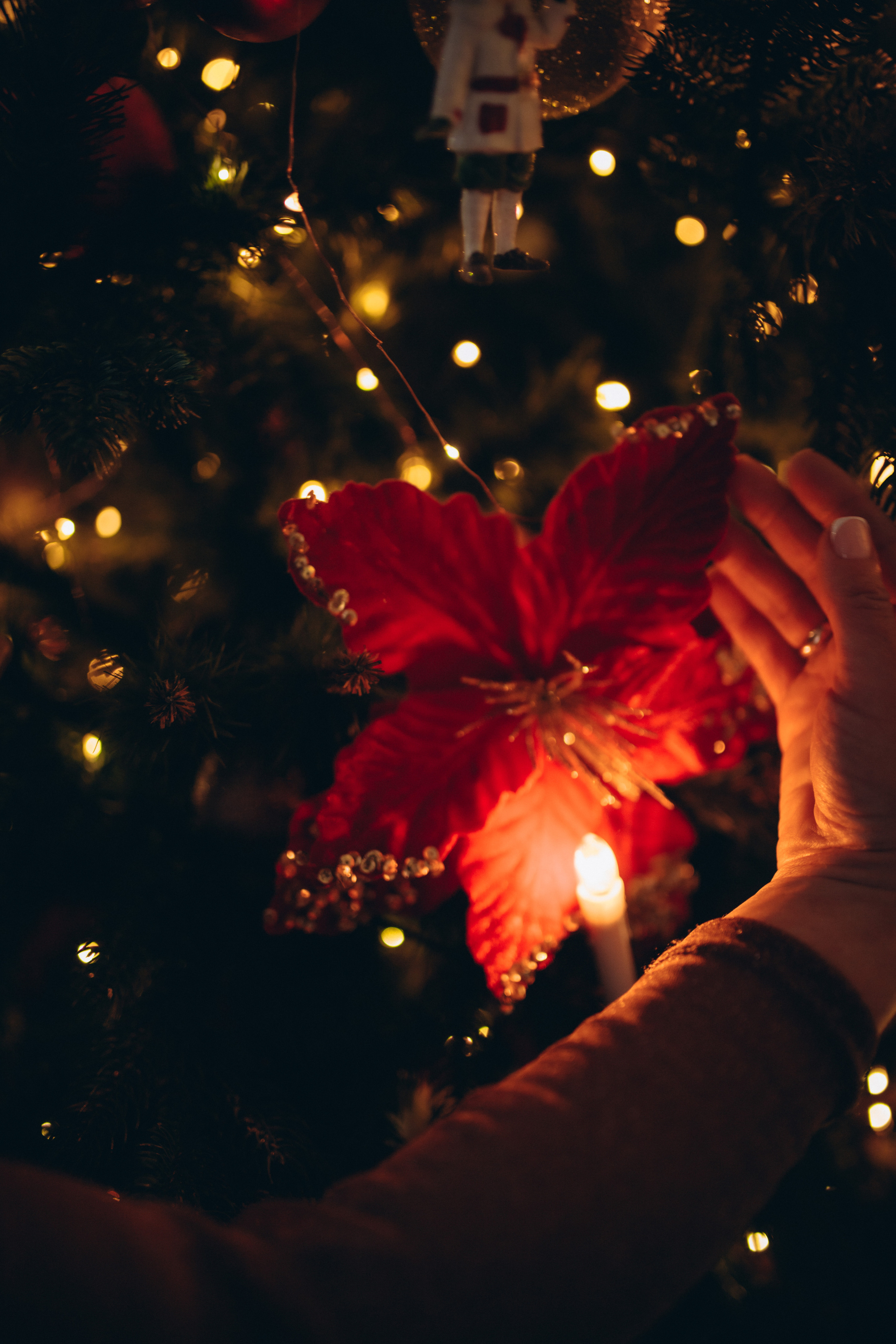 Олена. Семейный и свадебный фотограф в Харьков