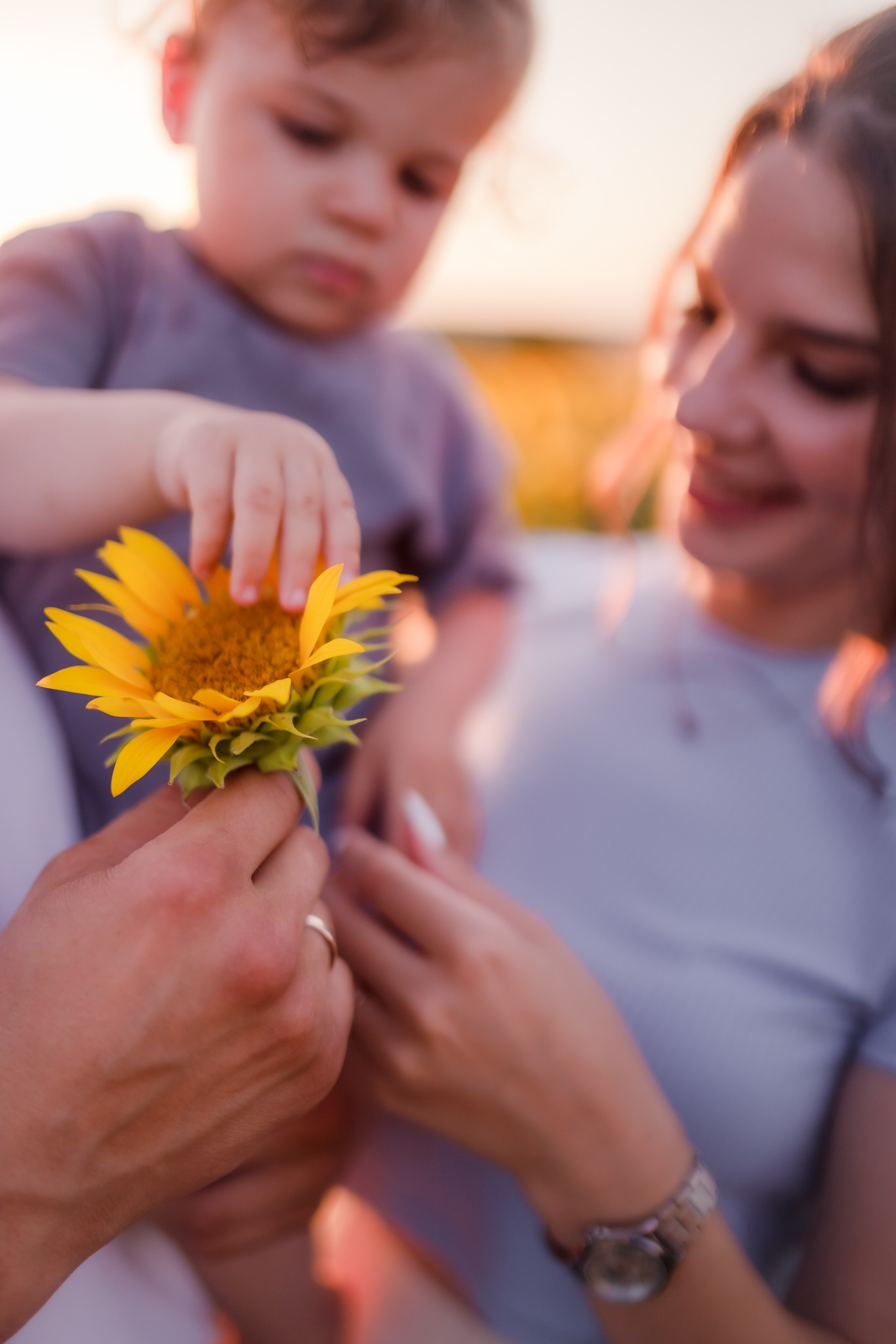 Сімейна літня історія. Семейный и свадебный фотограф в Харьков
