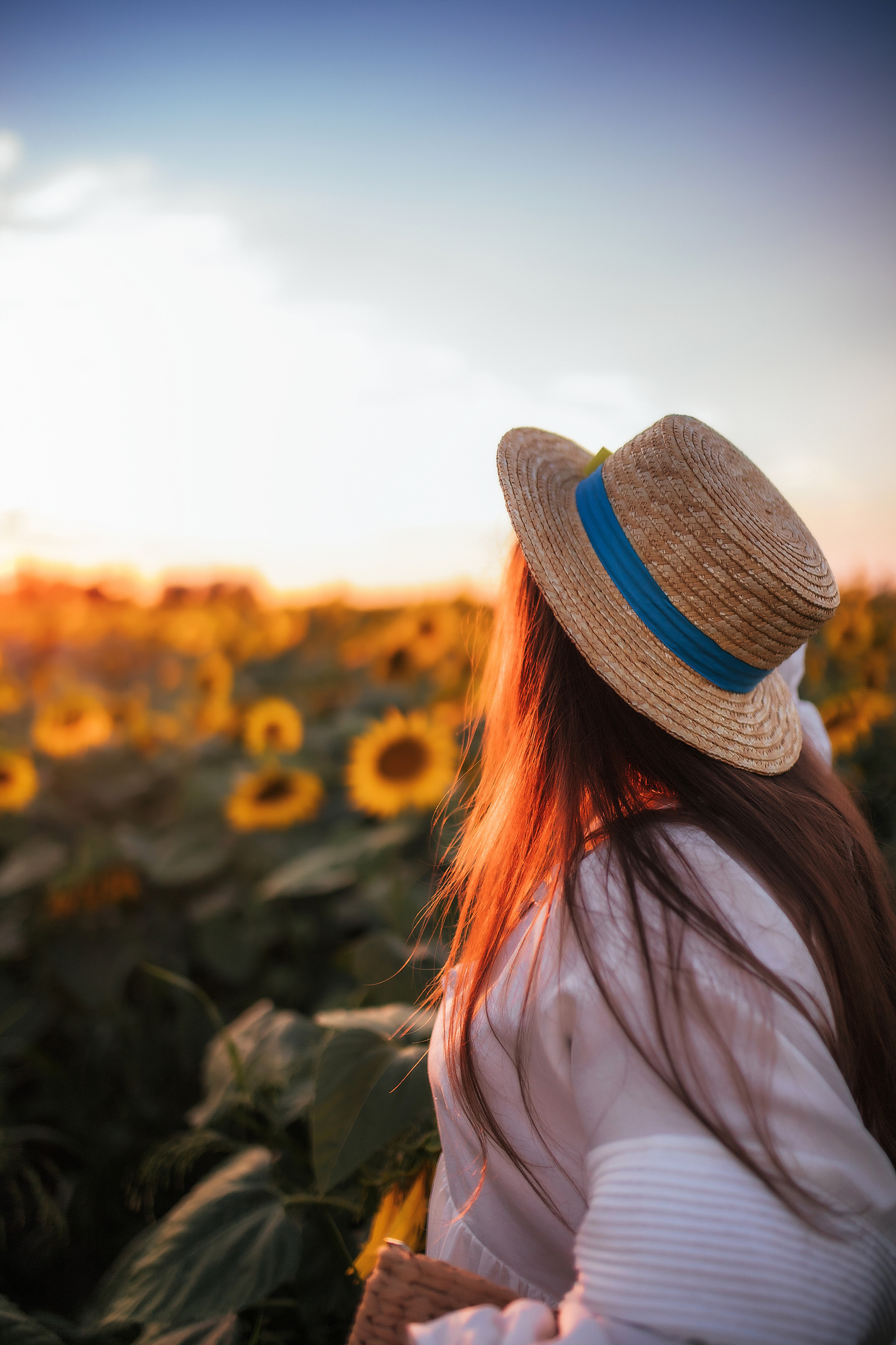 Вікторія і соняшники. Семейный и свадебный фотограф в Харьков